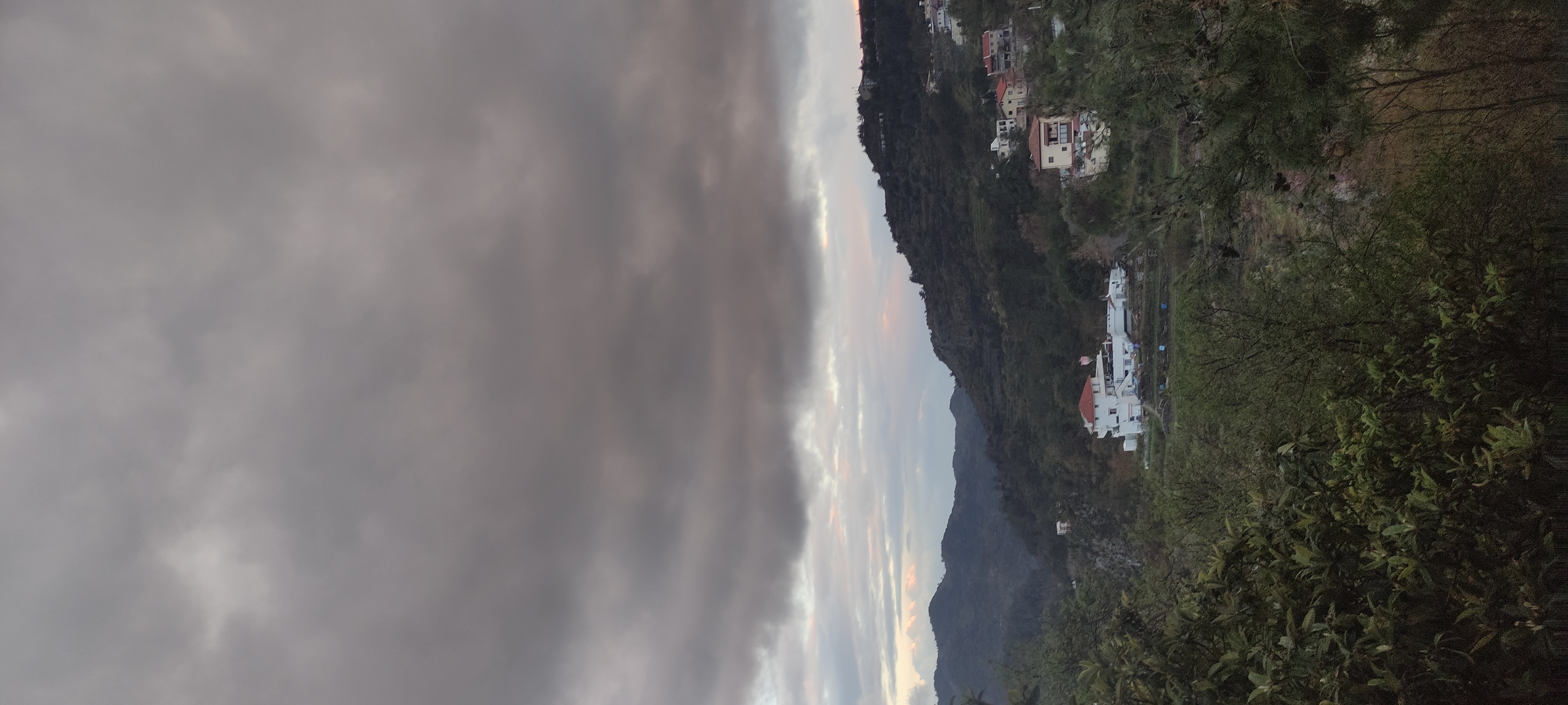IMG_20250319_174940.jpg
