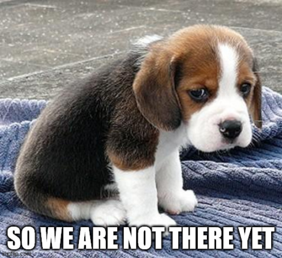 Screenshot 2022-10-27 at 16-37-00 sad puppy Meme Generator - Imgflip.png