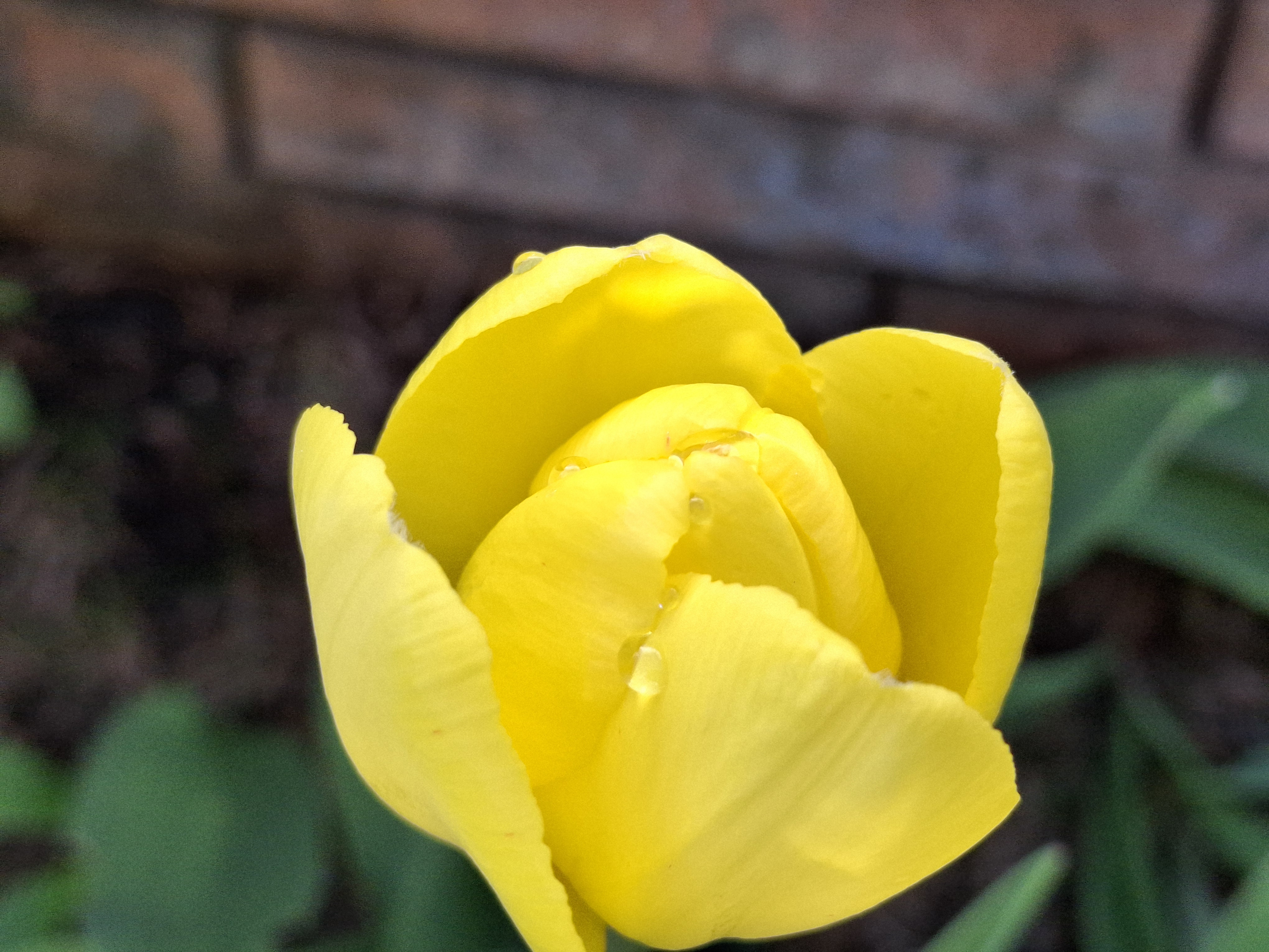 20240509_171751.jpg