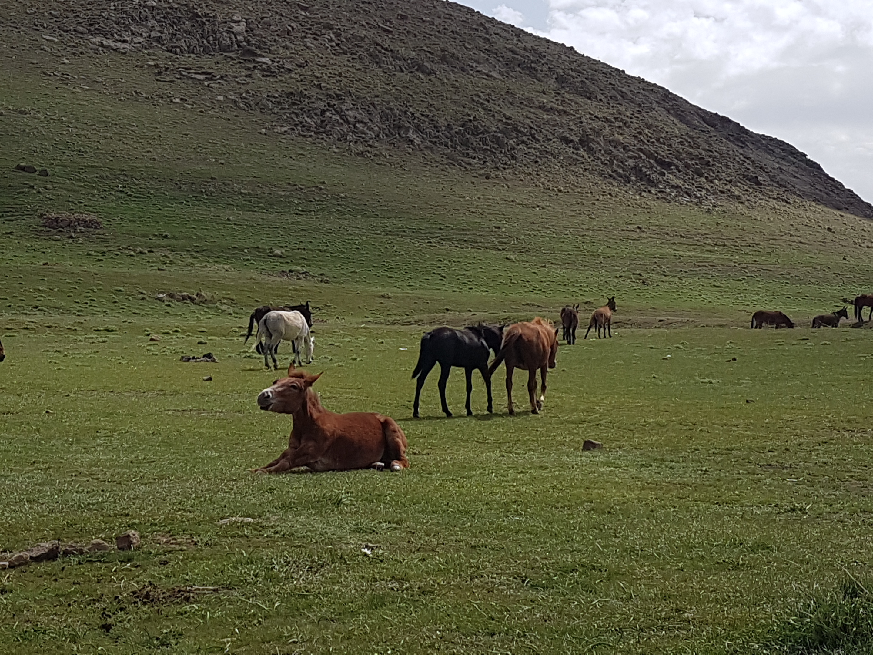 20180428_104111.jpg