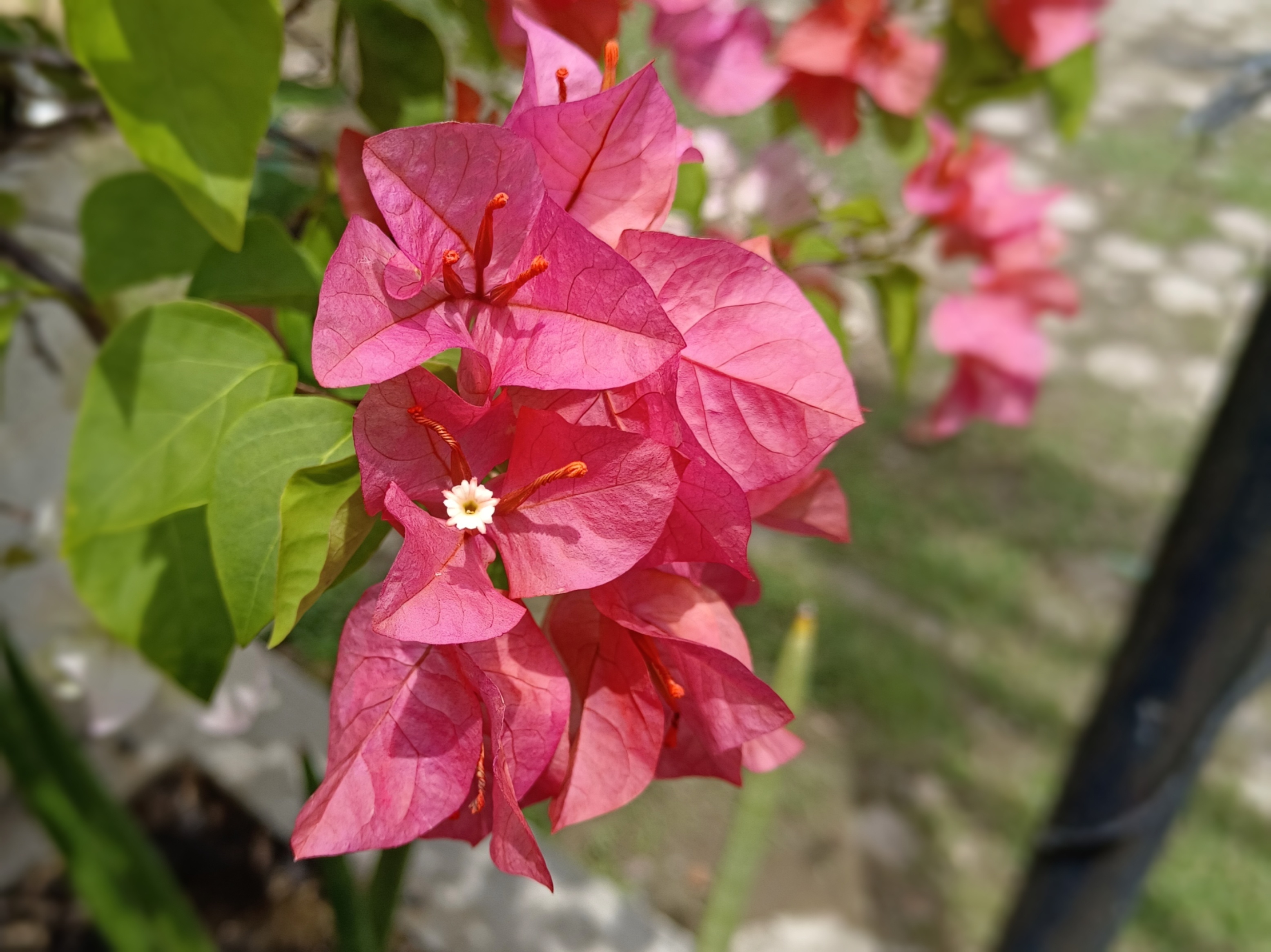 IMG_20250410_105909.jpg