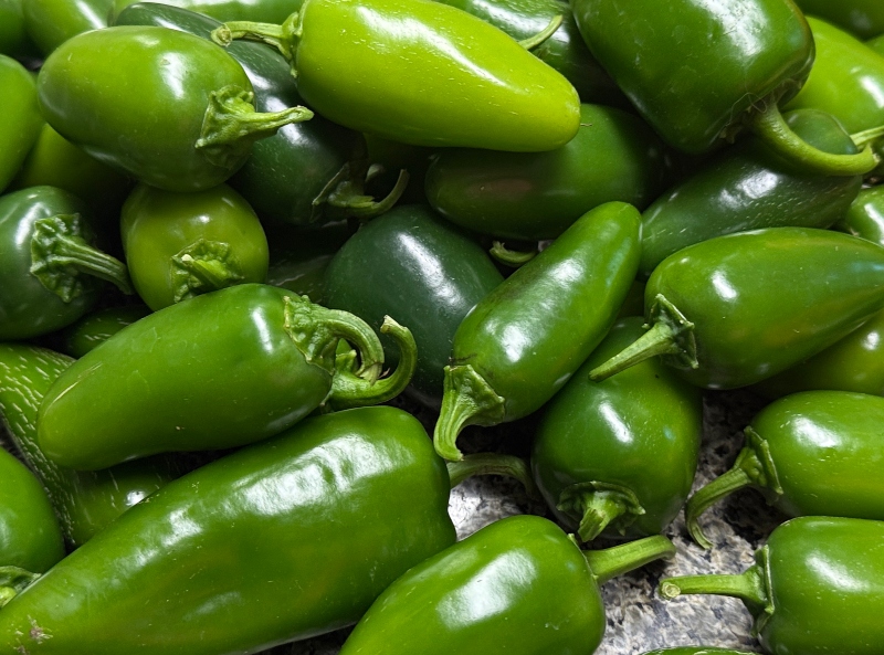 jalapeno-4.jpg