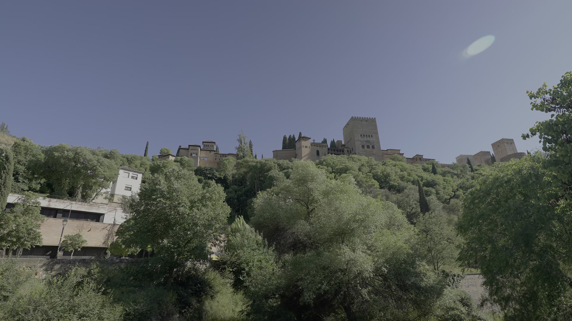 487.jpg