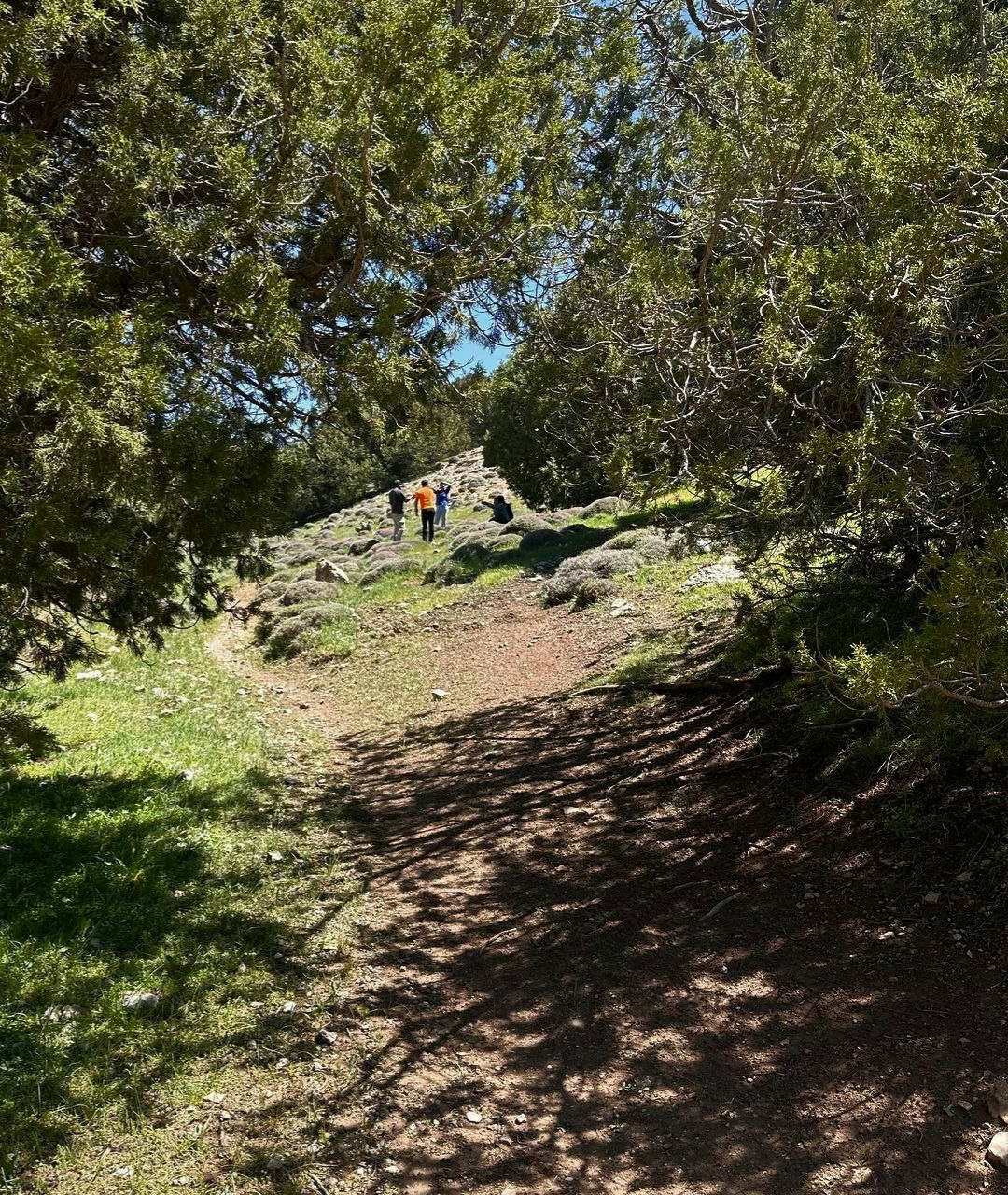 IMG_20250513_160214_647.jpg