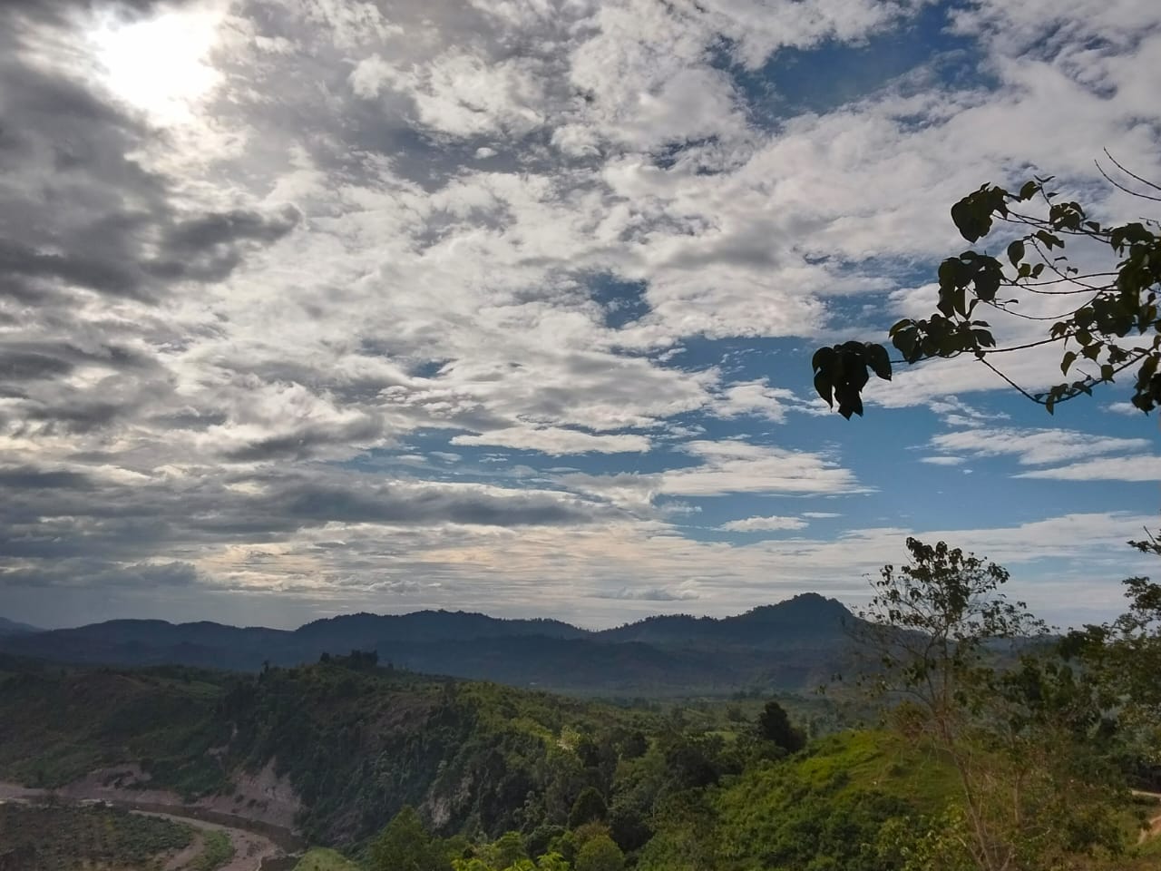 https://images.hive.blog/DQmSf4ugs1HF56CNdFv4yCMuon1ZzvZ2MH8zW1jCGG7oG6k/IMG-20250712-WA0005.jpg