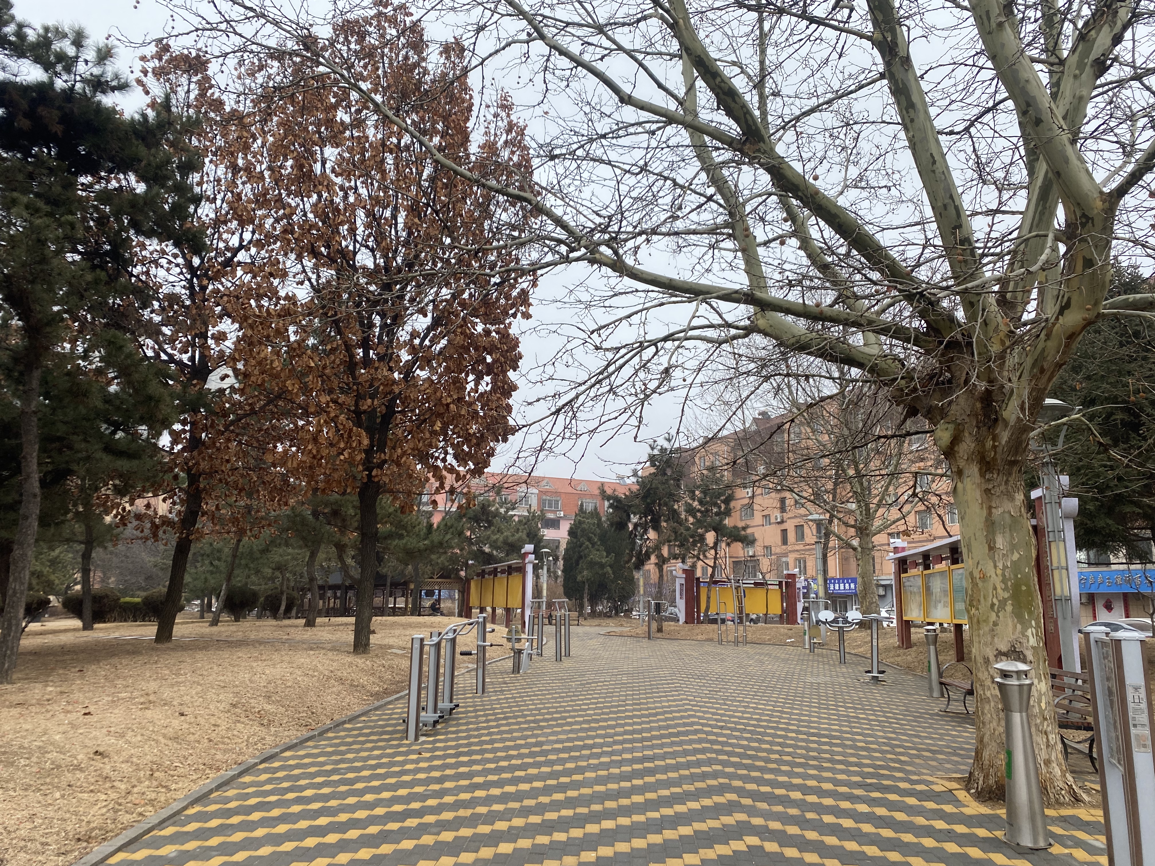 健身公园.jpg