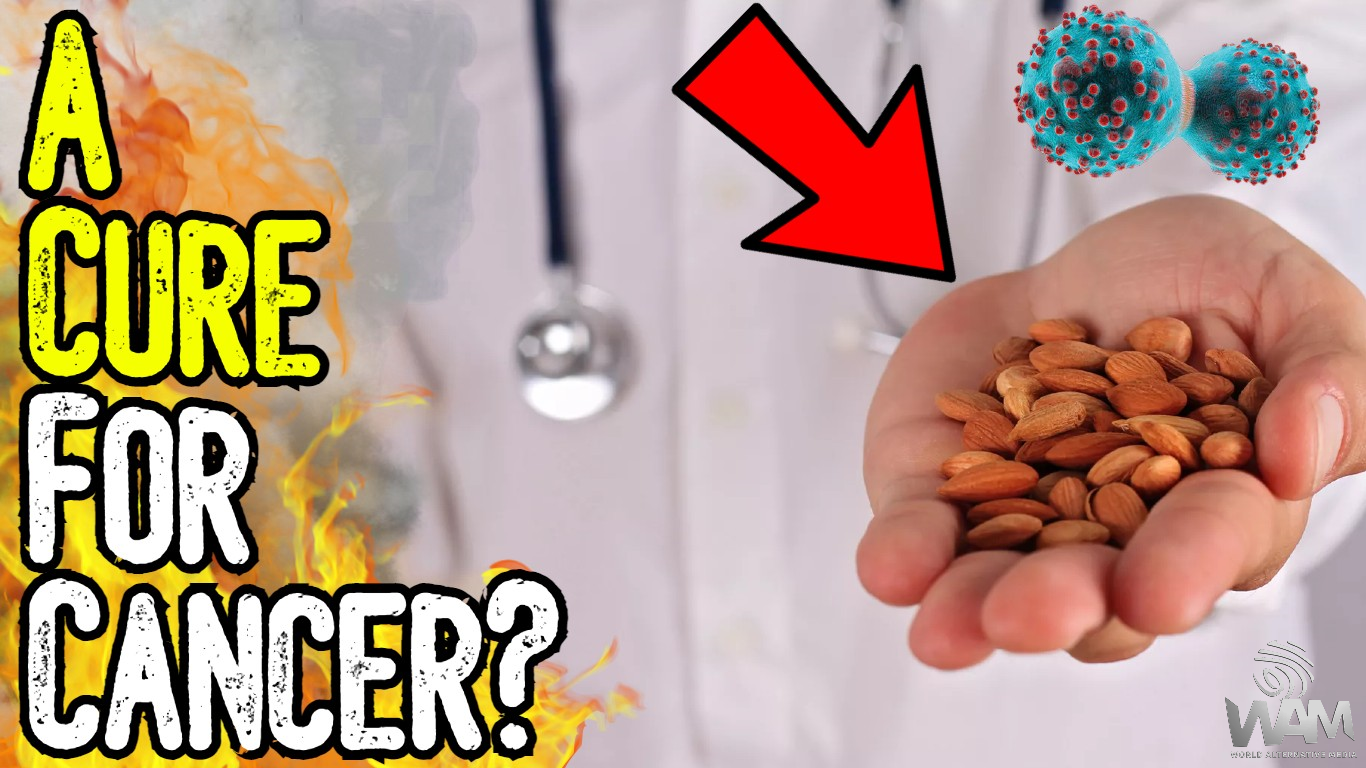 a cure for cancer thumbnail.png