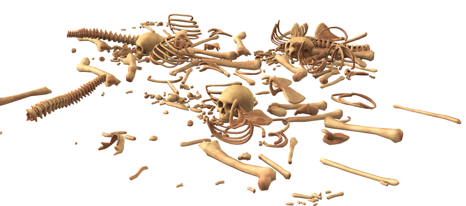 skull-3378748_1920.png