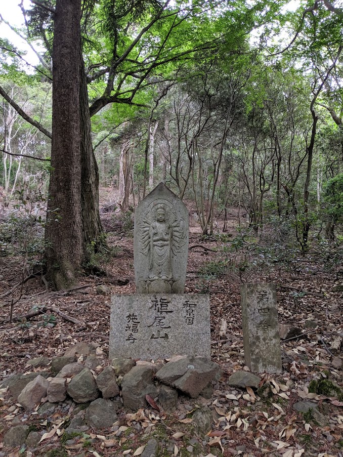 MVIMG_20190518_130159.jpg