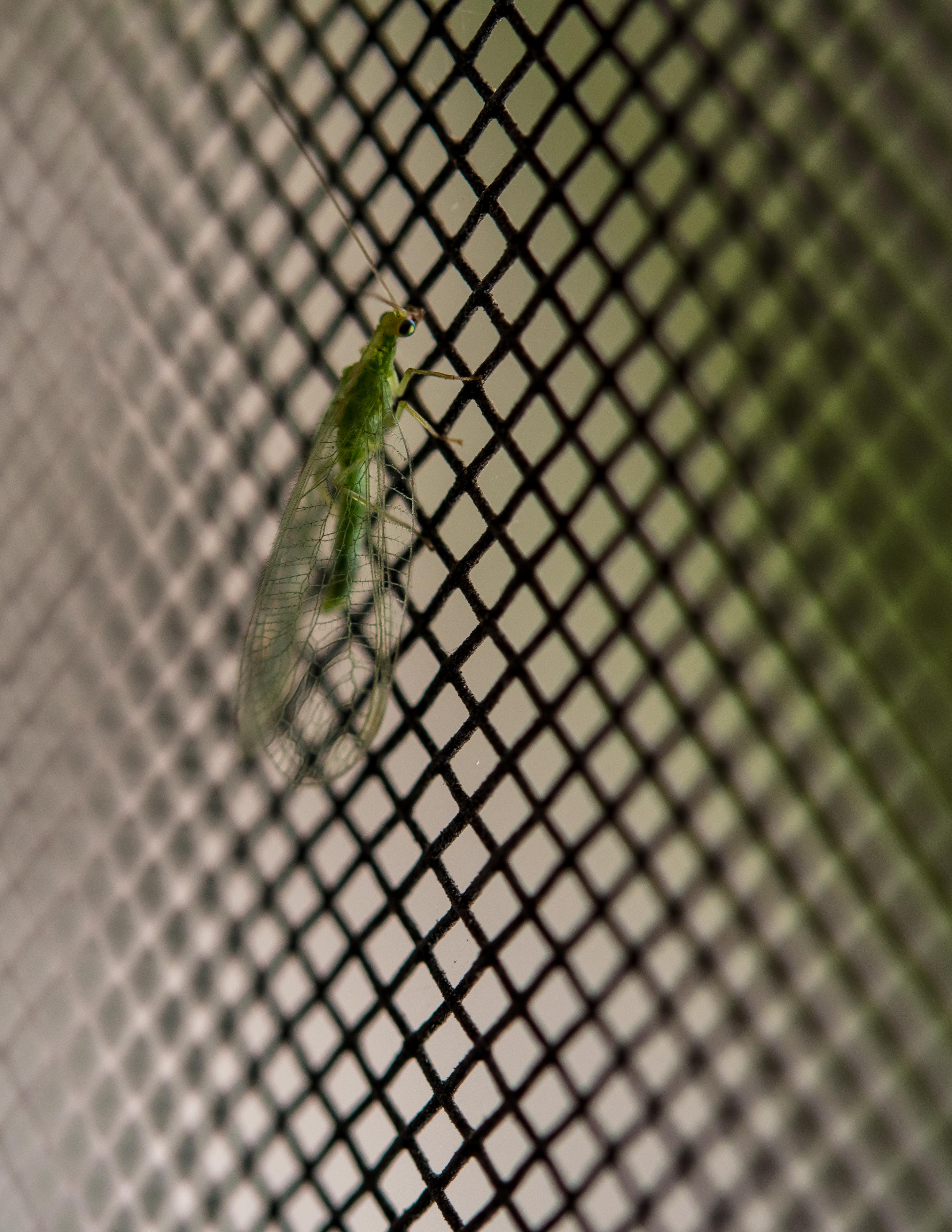DSC_9113-3.jpg
