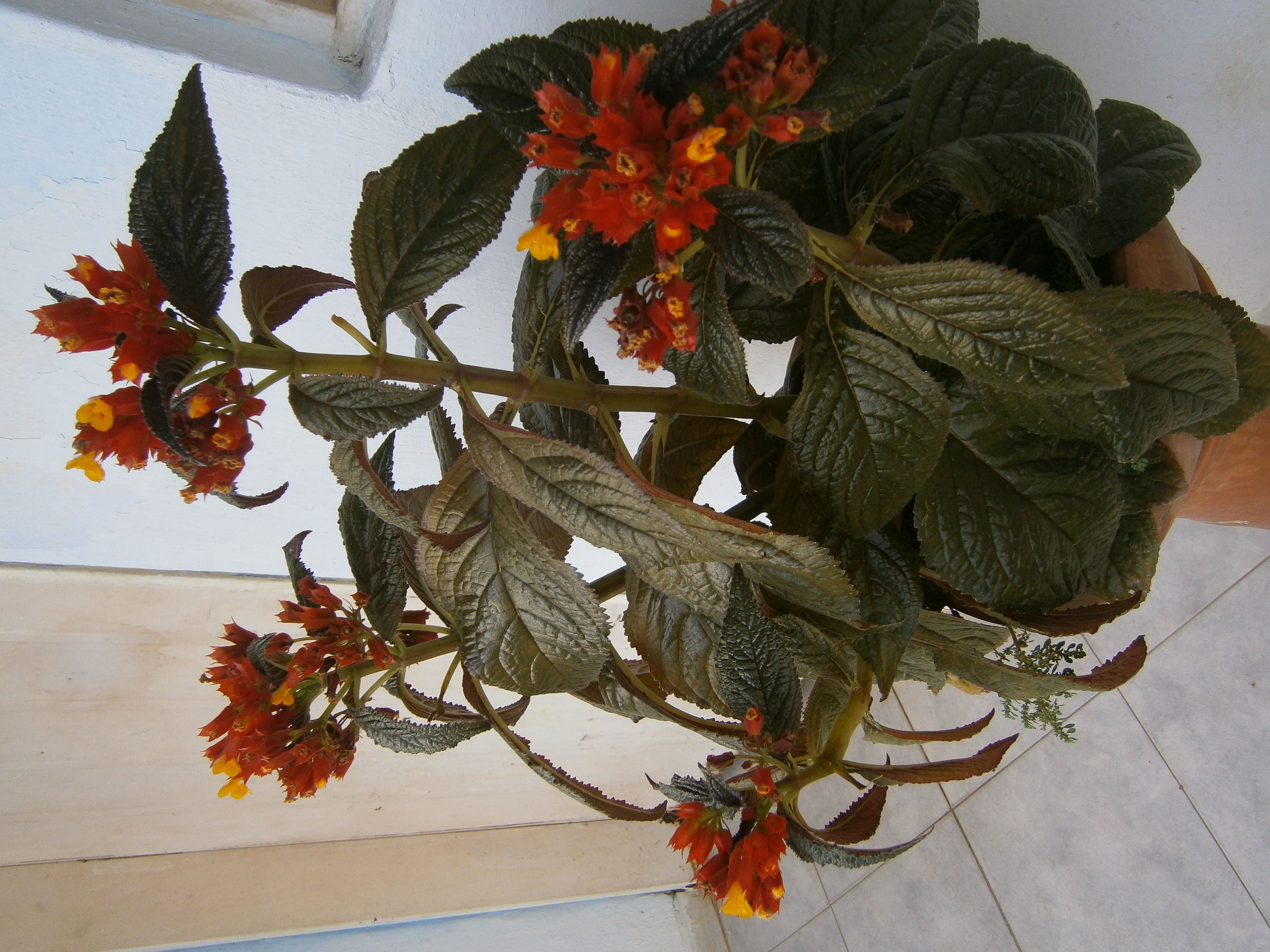 P4040462.JPG