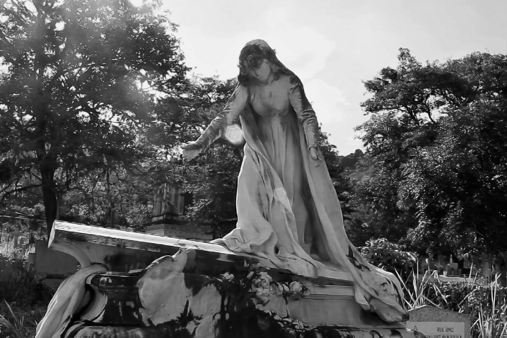 vlcsnap-2020-06-22-11h41m17s9 (2) jjjjj.jpg