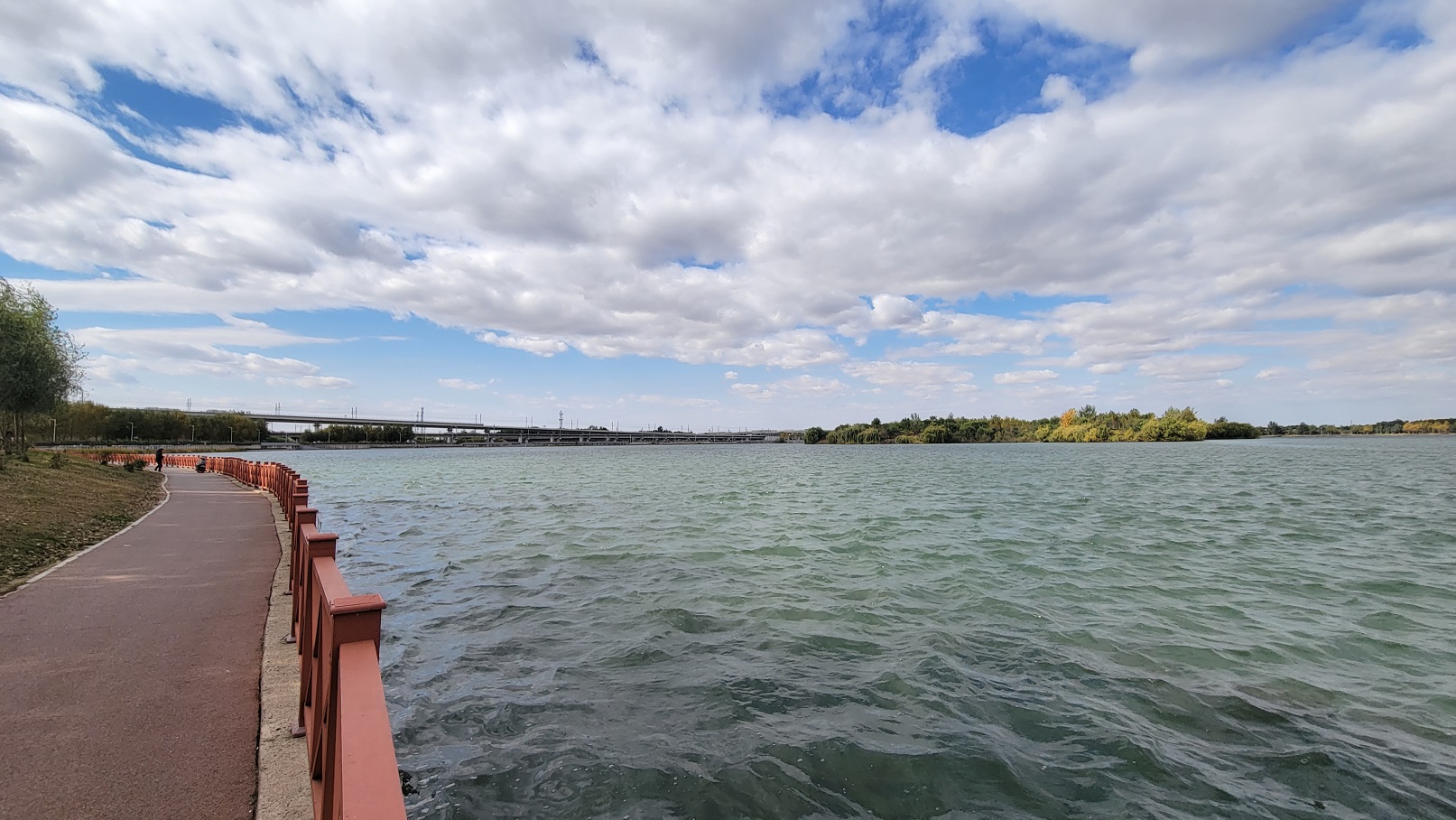 20221017_114640.jpg
