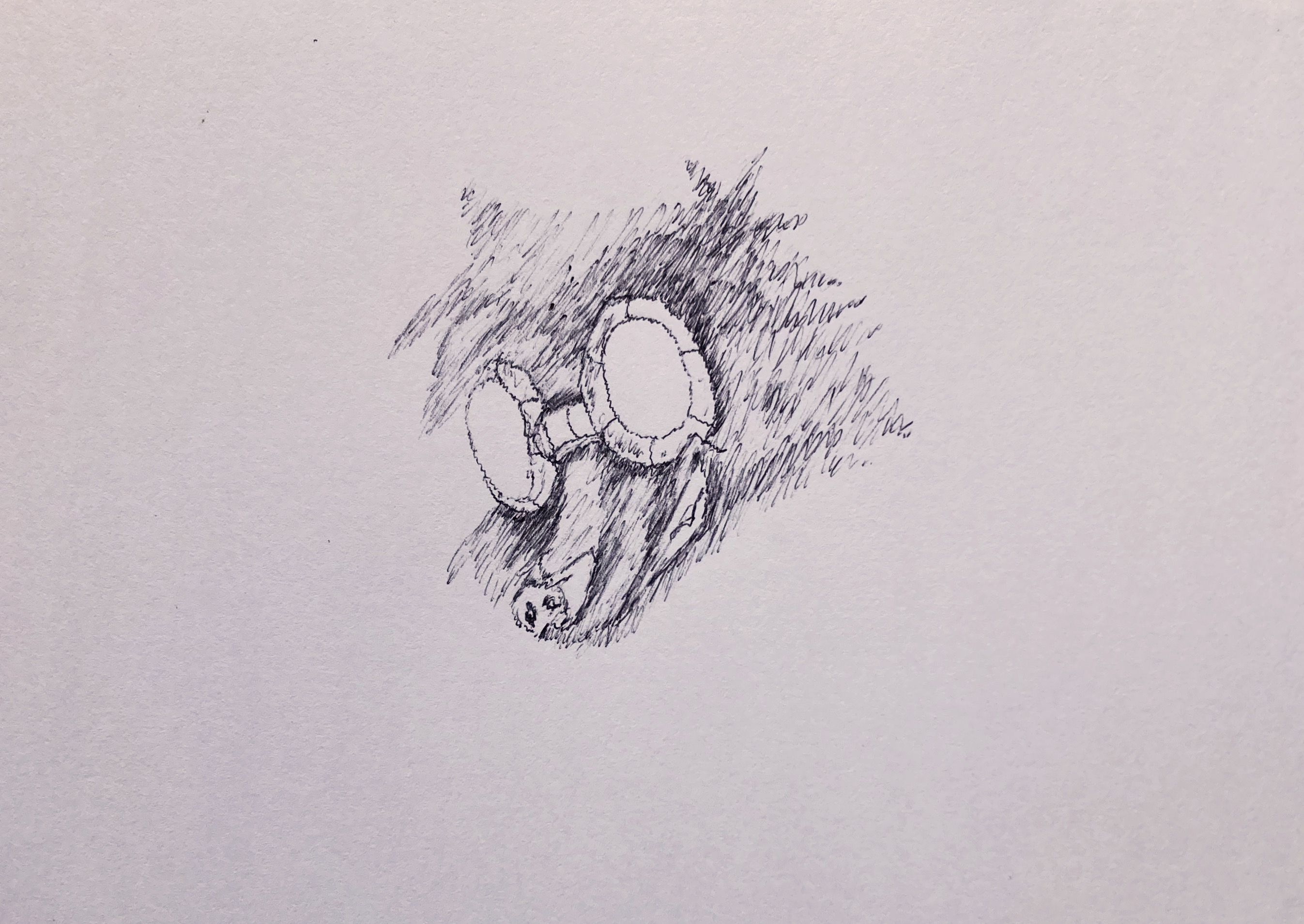 IMG_0290.jpeg