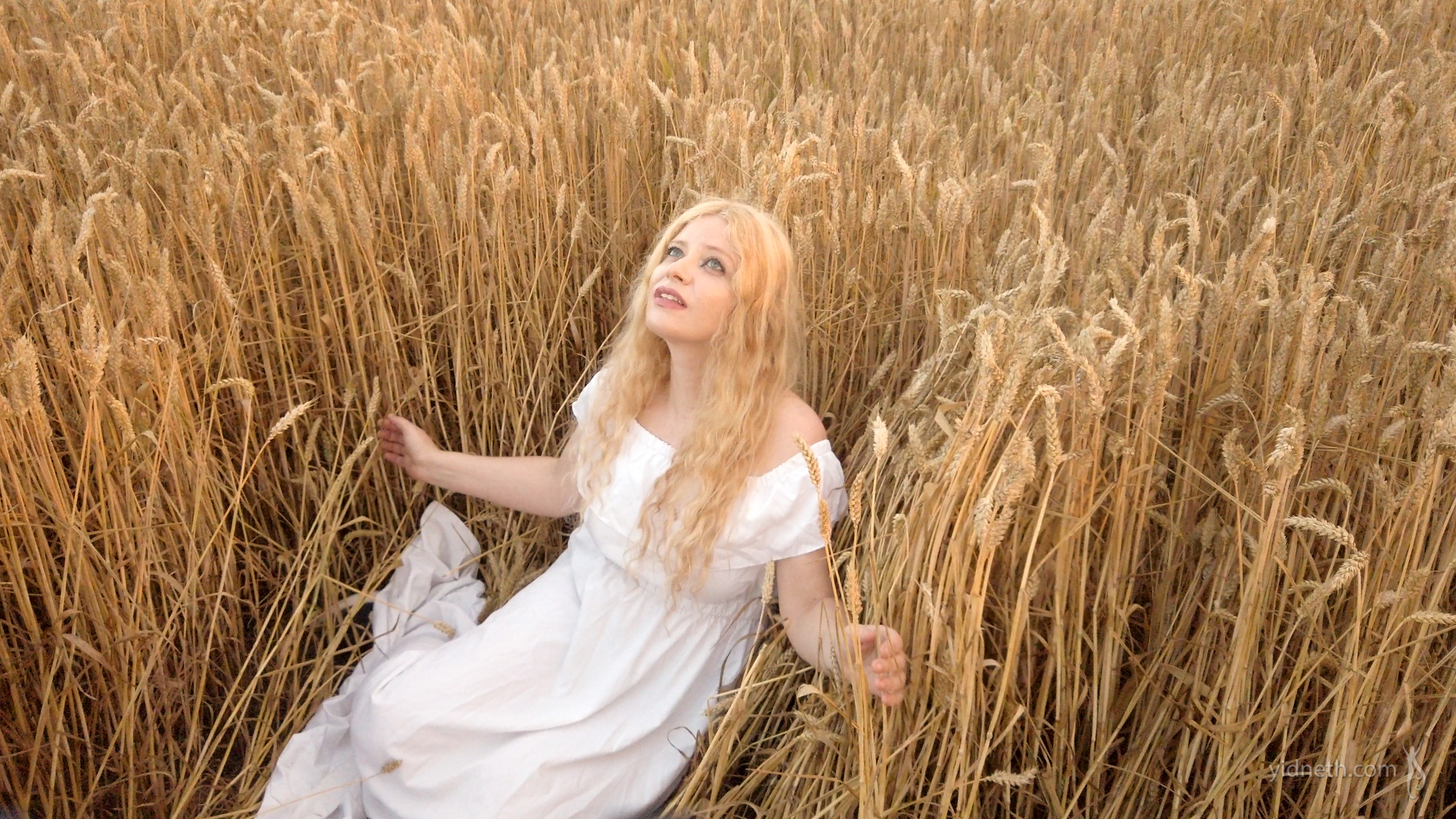 Fields of Gold_yidneth (1).jpg
