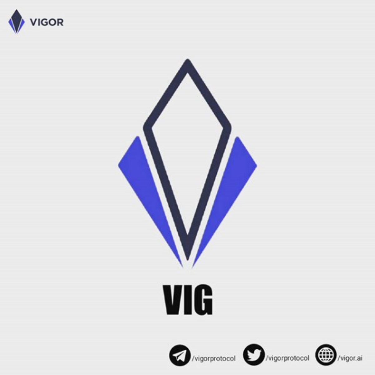 vig-token-picpng.png