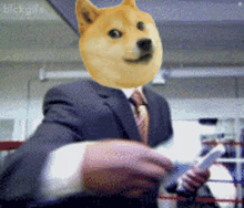 dogecoinnotkdk3.gif