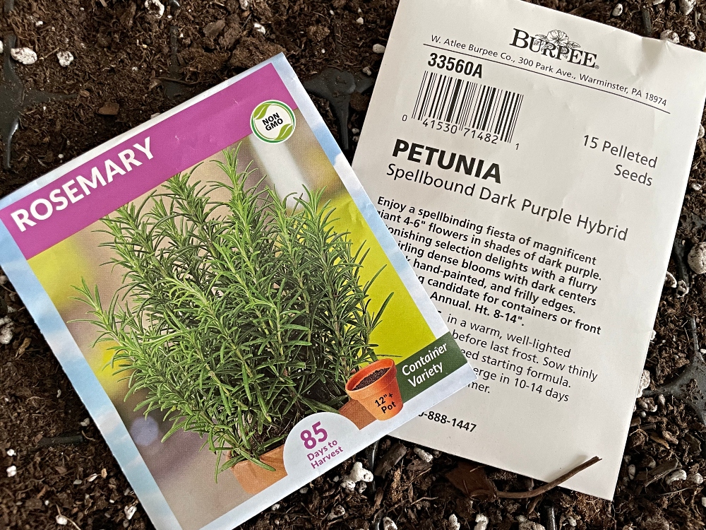 seeds-rosemary.jpg