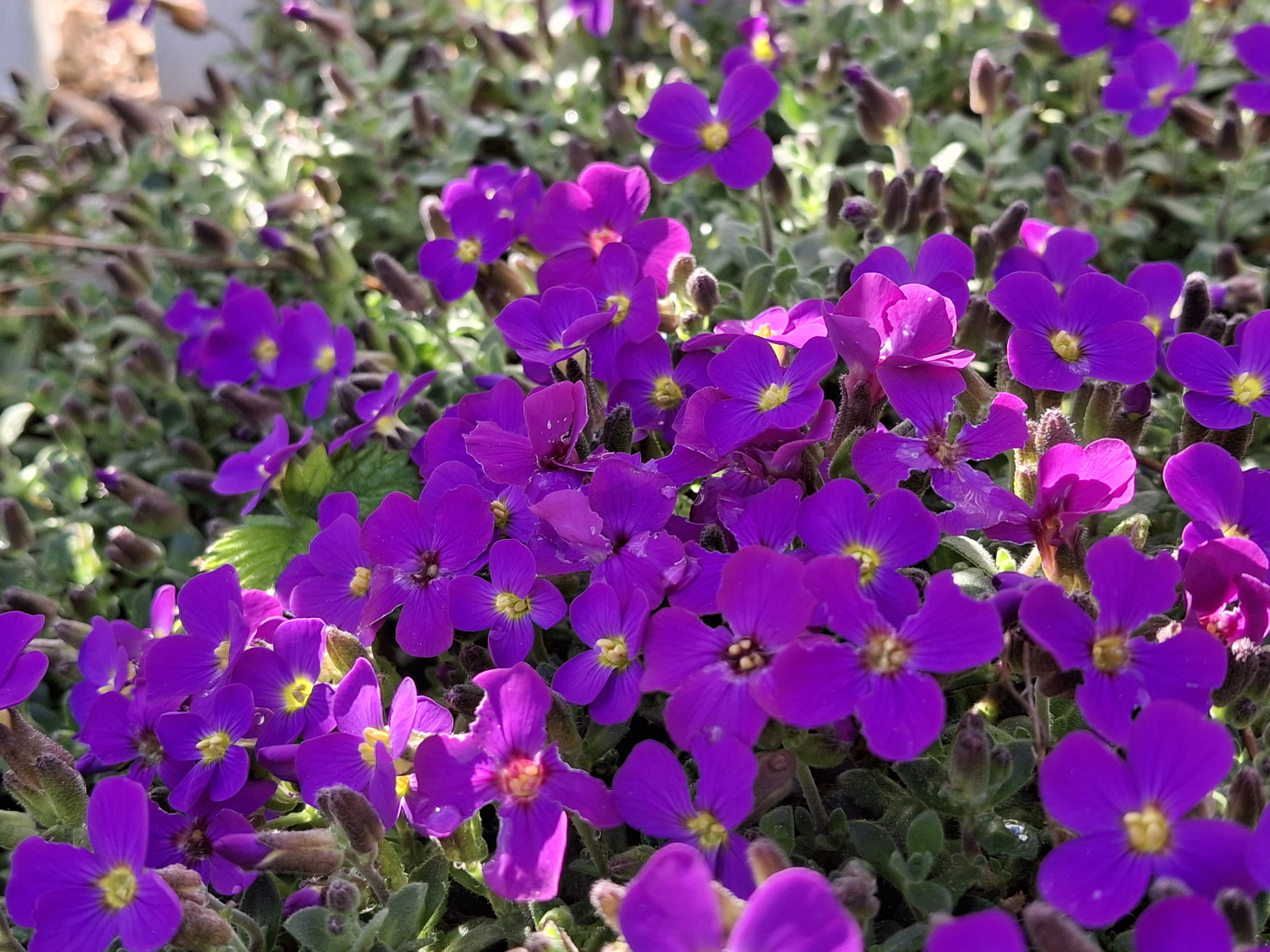 20240509_172002.jpg