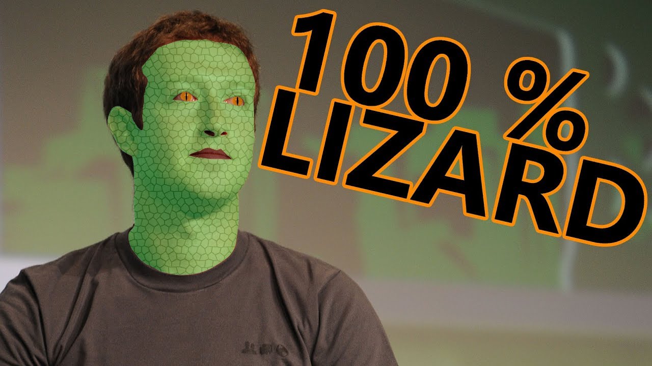 zucc lizard.jpg