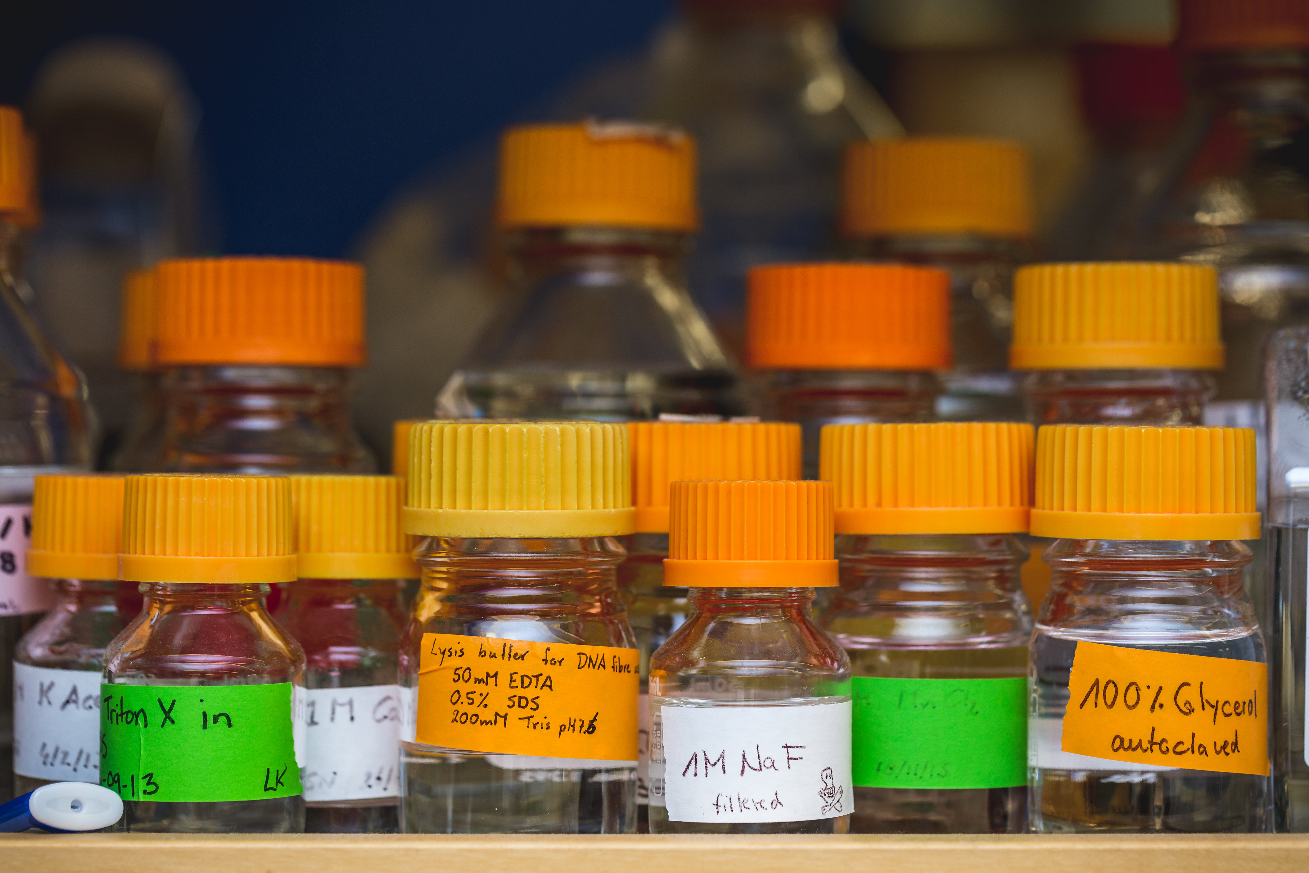 science-lab-chemical-bottles.jpg