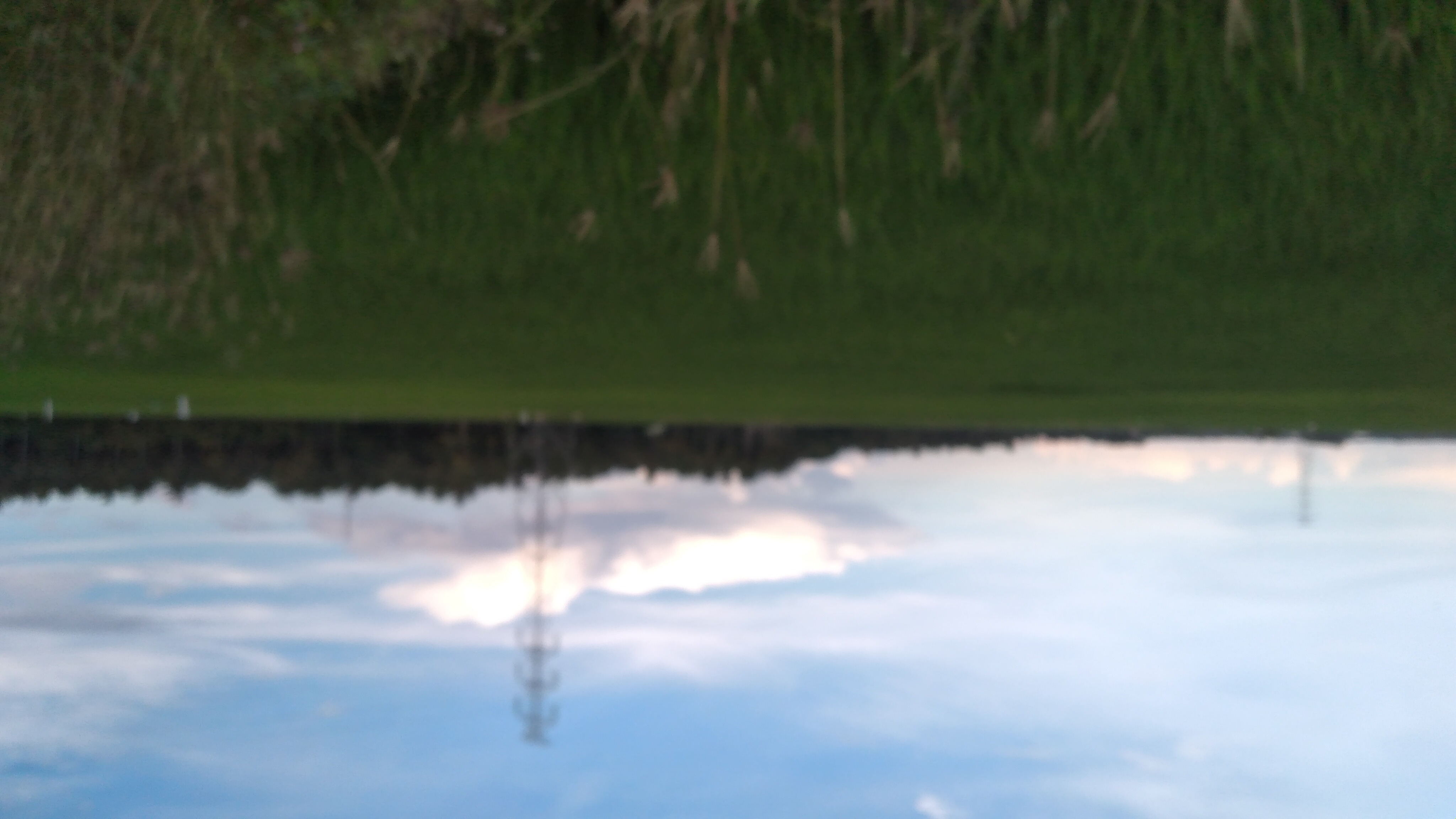 20241011_070442.jpg