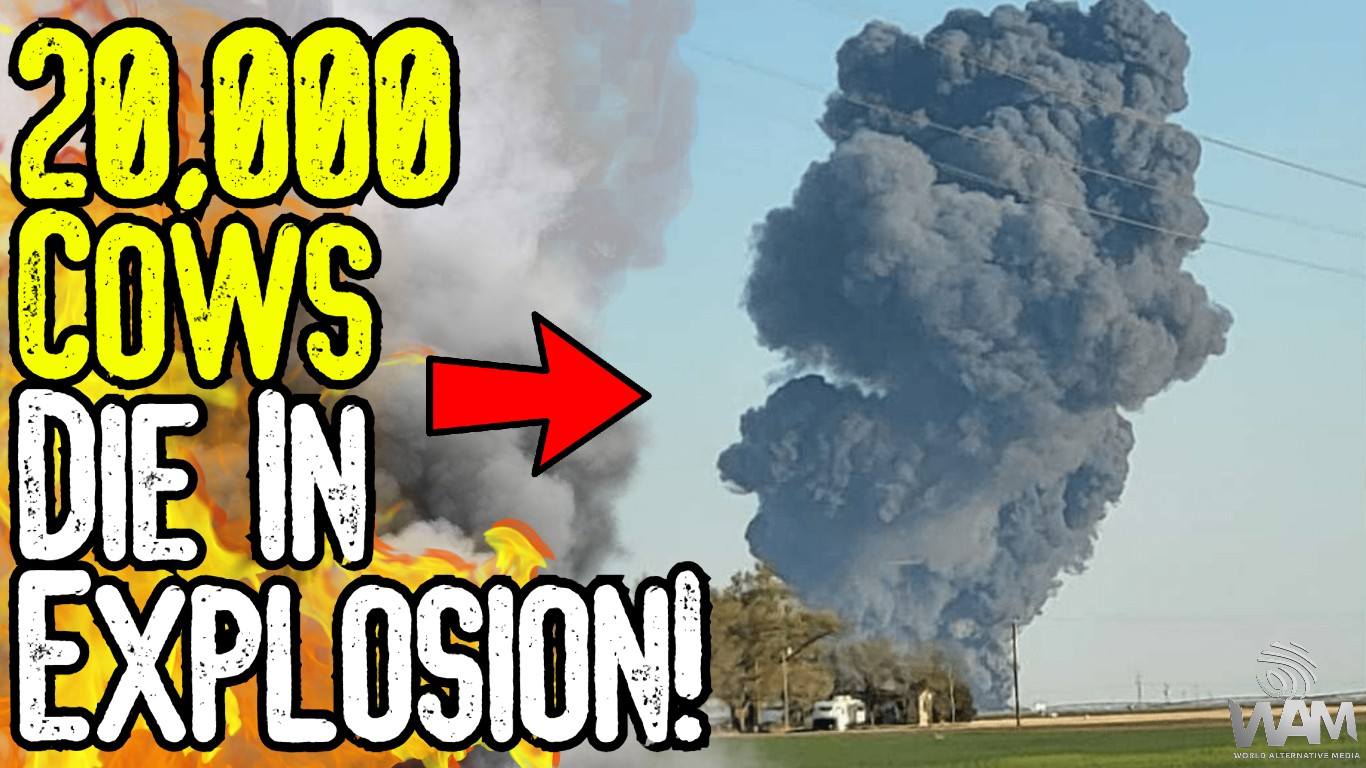 20000 cows die in explosion thumbnail.png