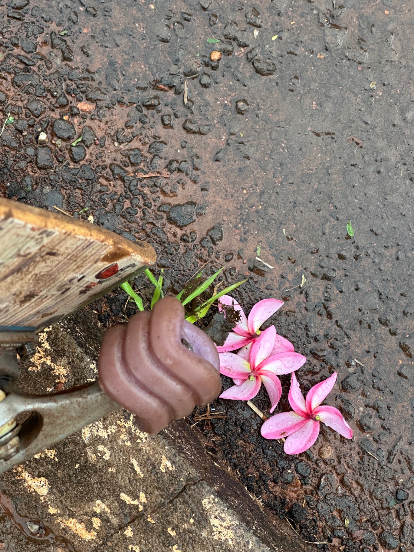 Raining Every Sunday Session