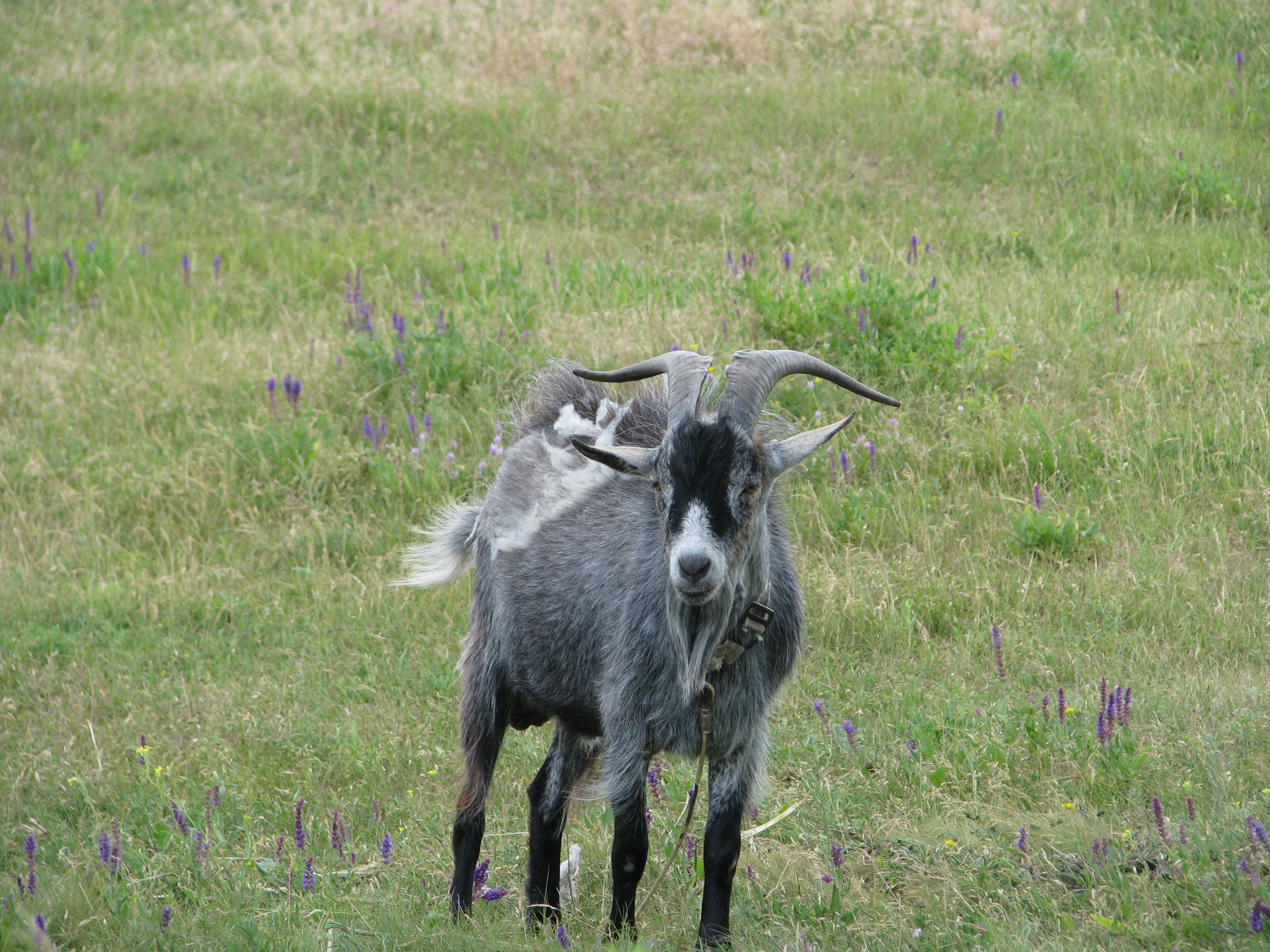 2009.06.14 15.50.12.jpg