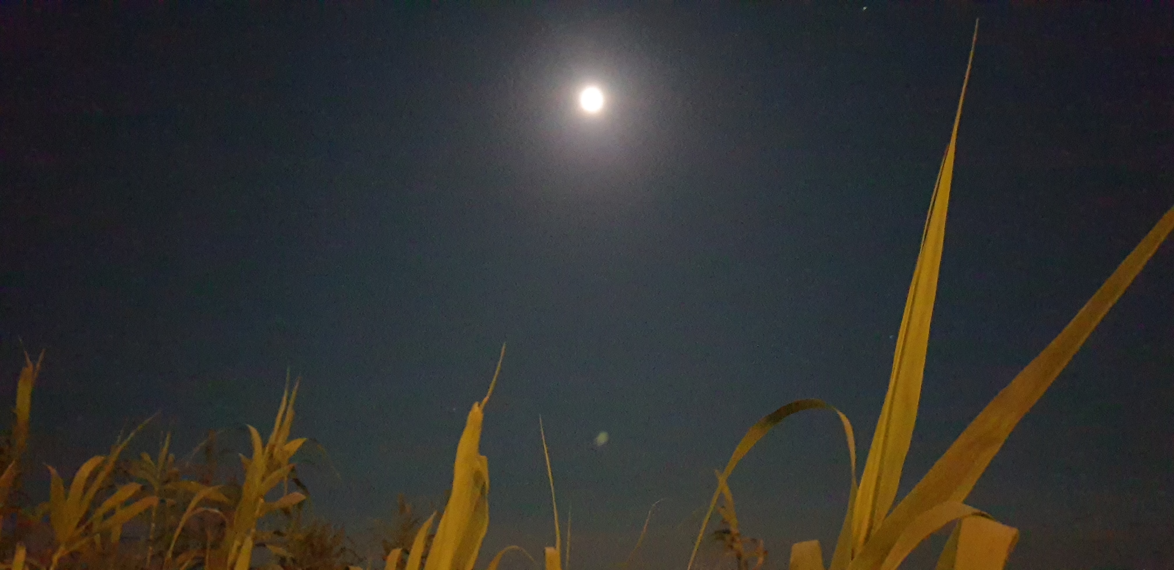 20230831_232415.jpg