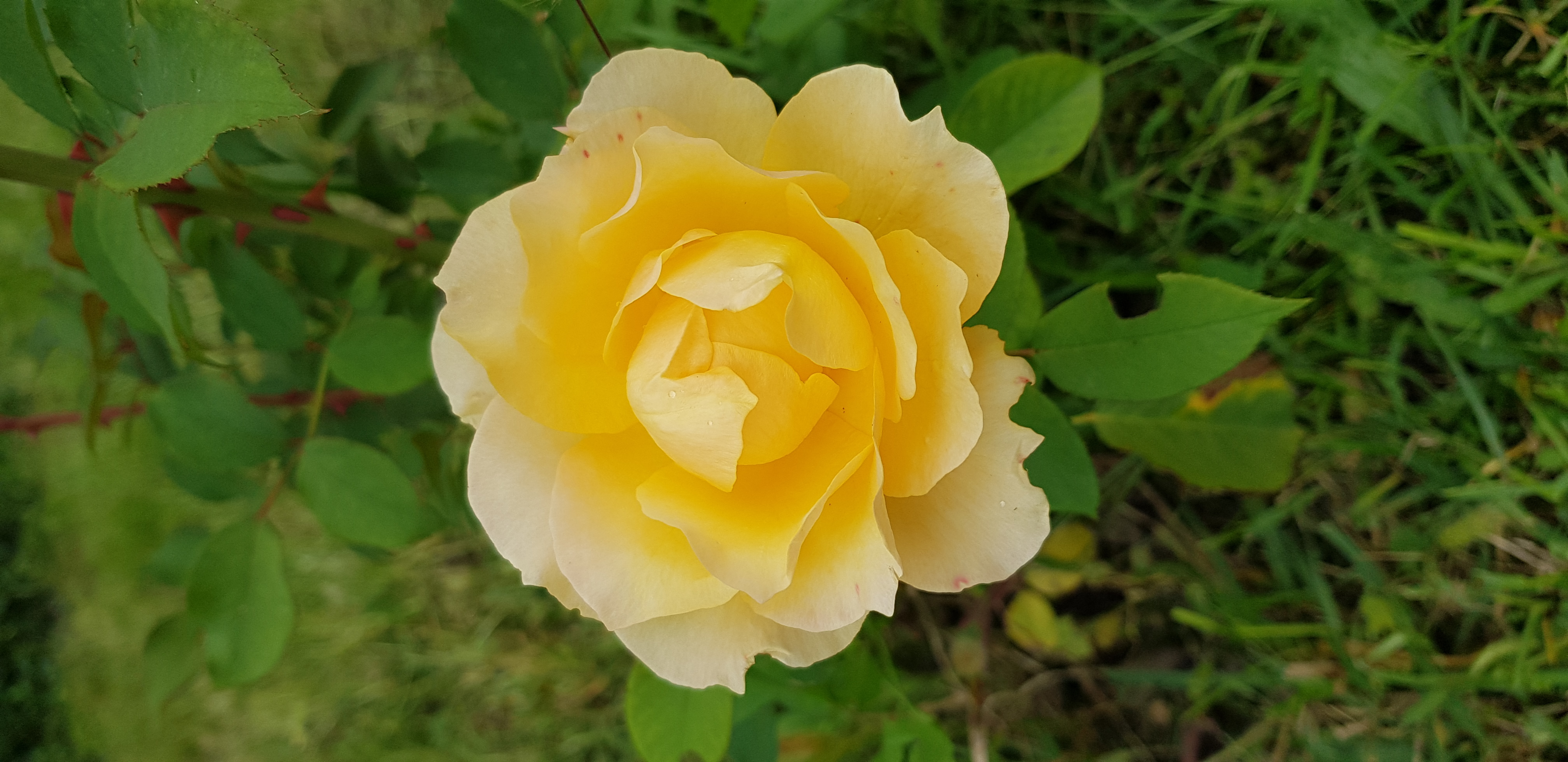 20220925_160231.jpg