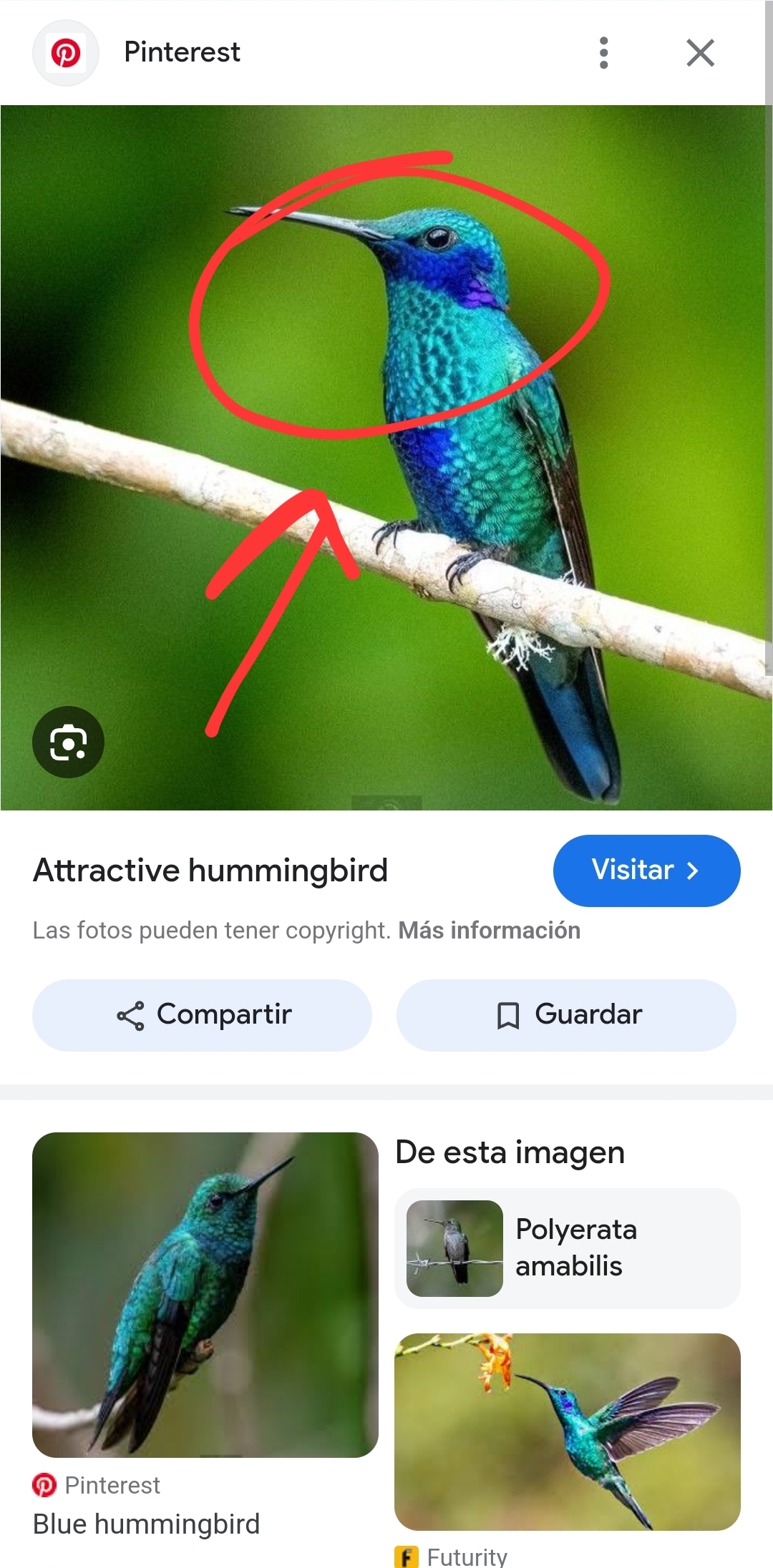 Screenshot_20250325-005122_Chrome.jpg