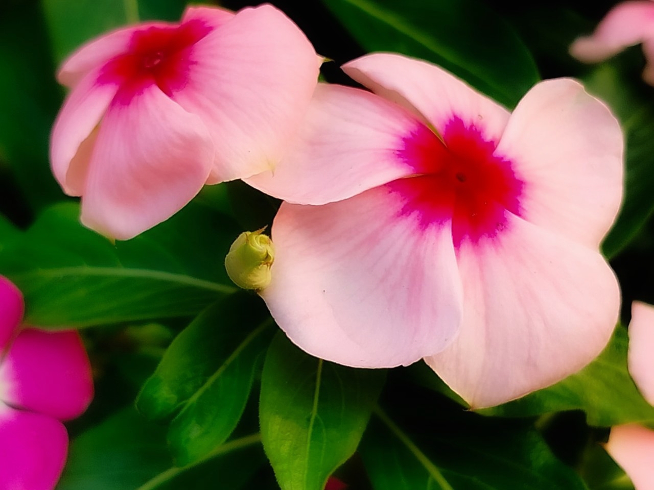 BeautyPlus_20250614135026242_save.jpg