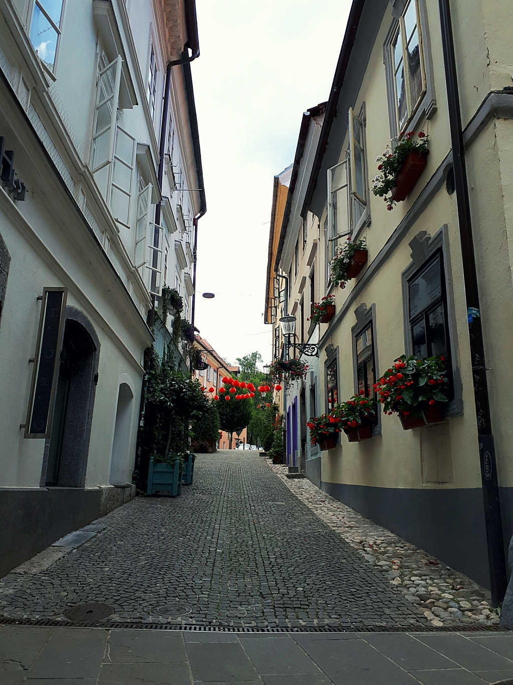 20190714_155551.jpg