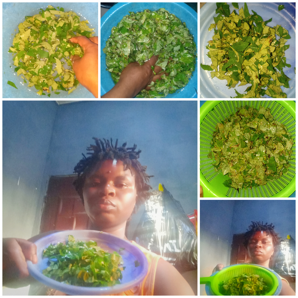Collage 2025-08-12 10-14-11.png