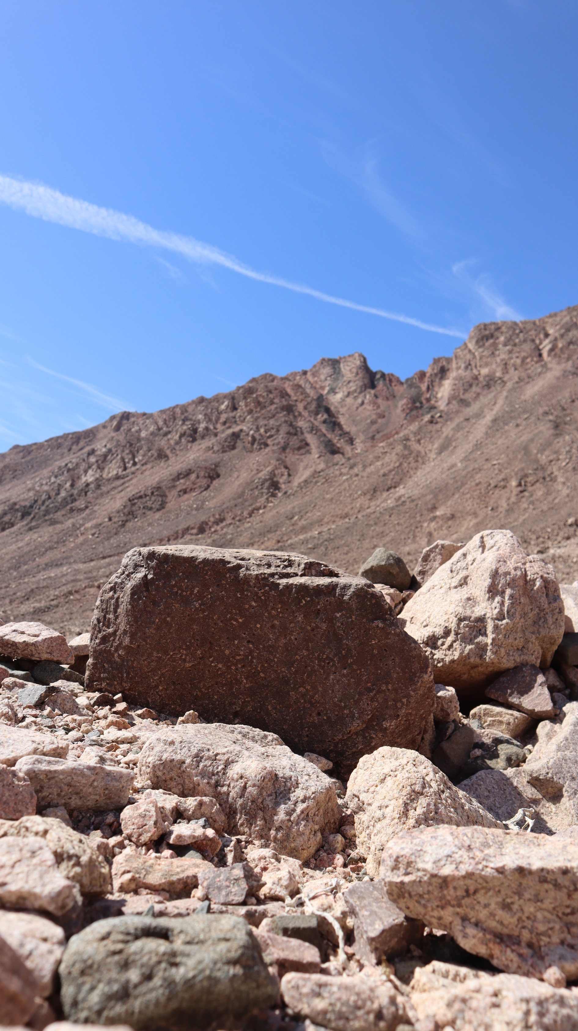 IMG_9507_copy_1891x3368.jpg