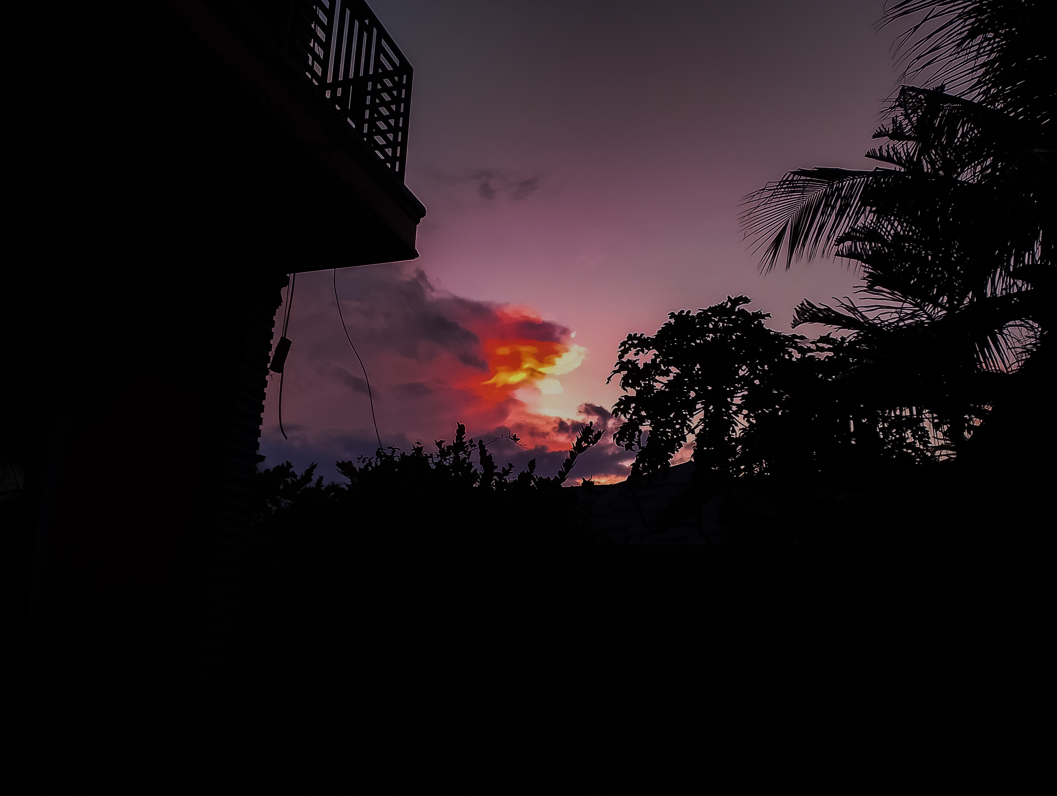 PSX_20250806_184406.jpg