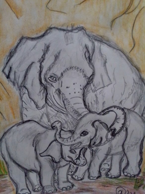 Elephant family drawing  Hive