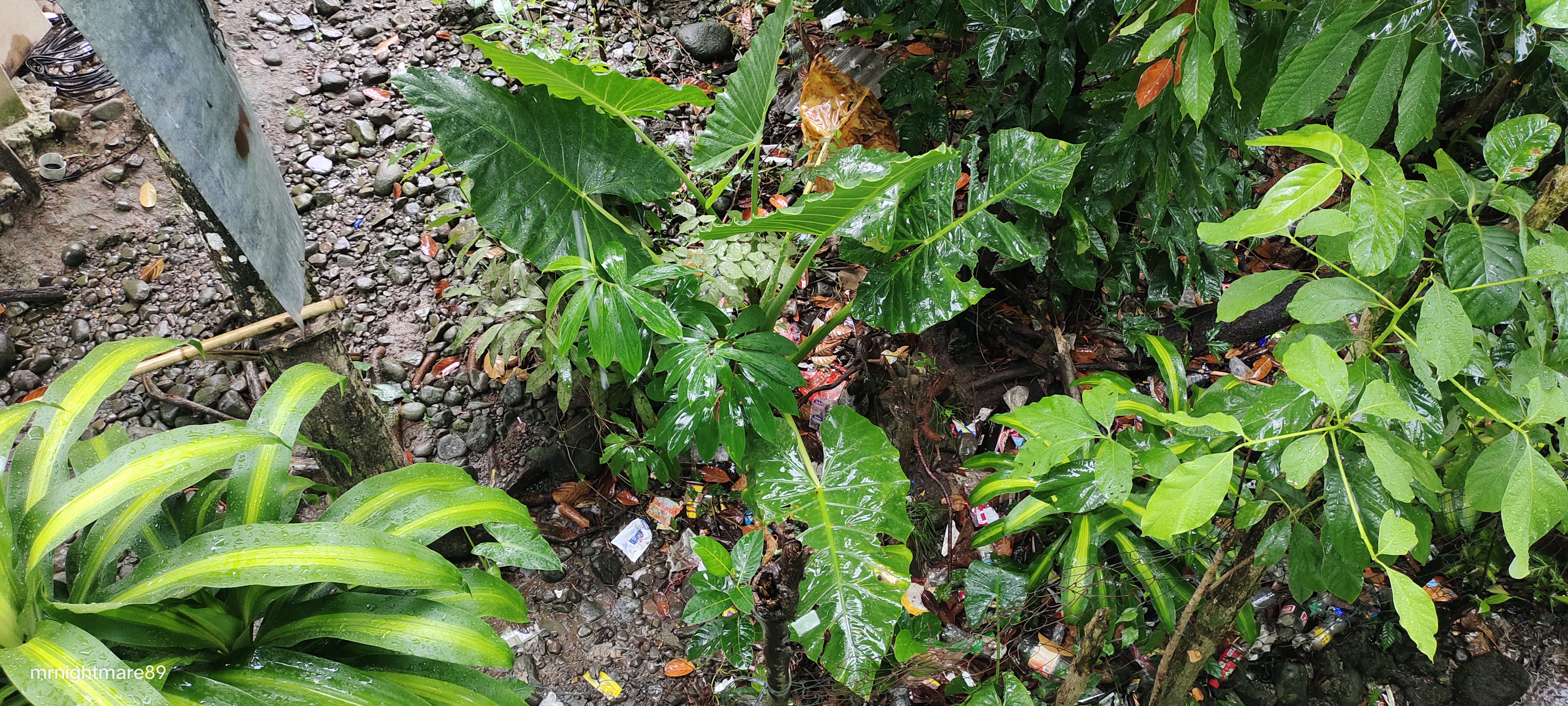 IMG_20230329_074645.jpg