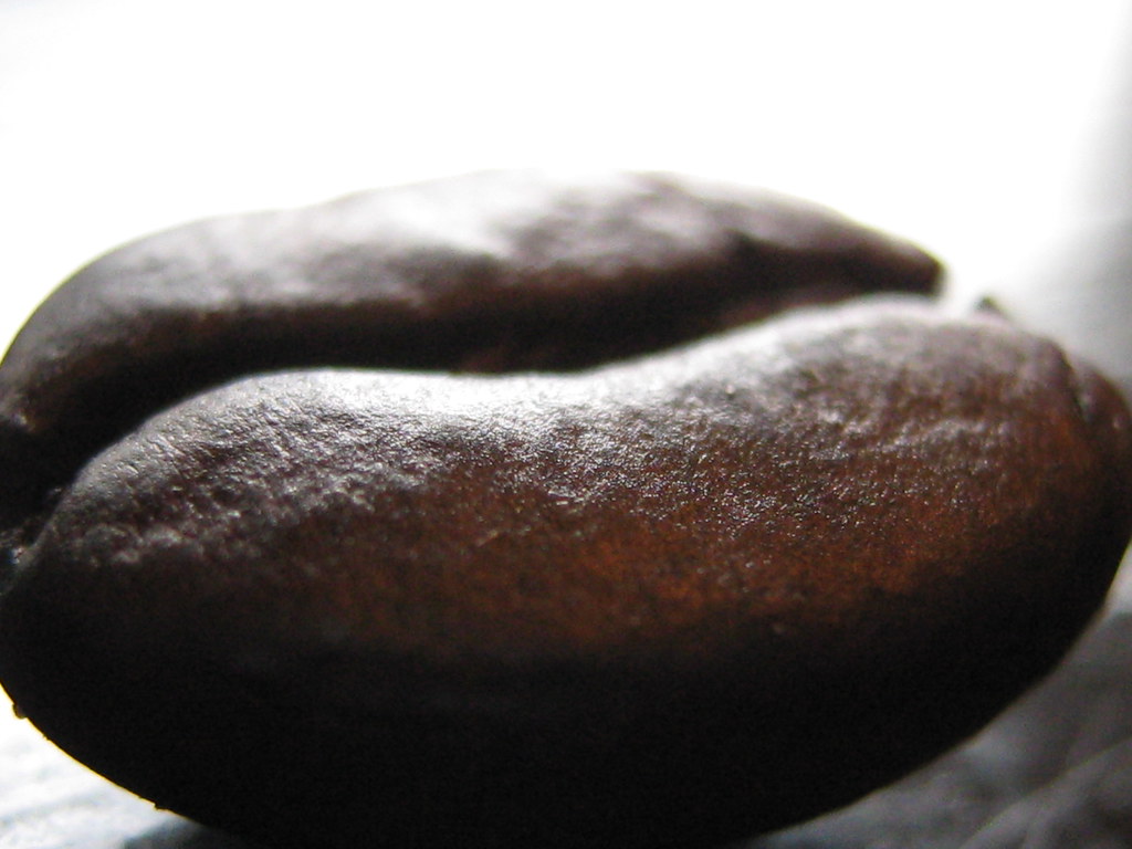 coffee bean.jpg