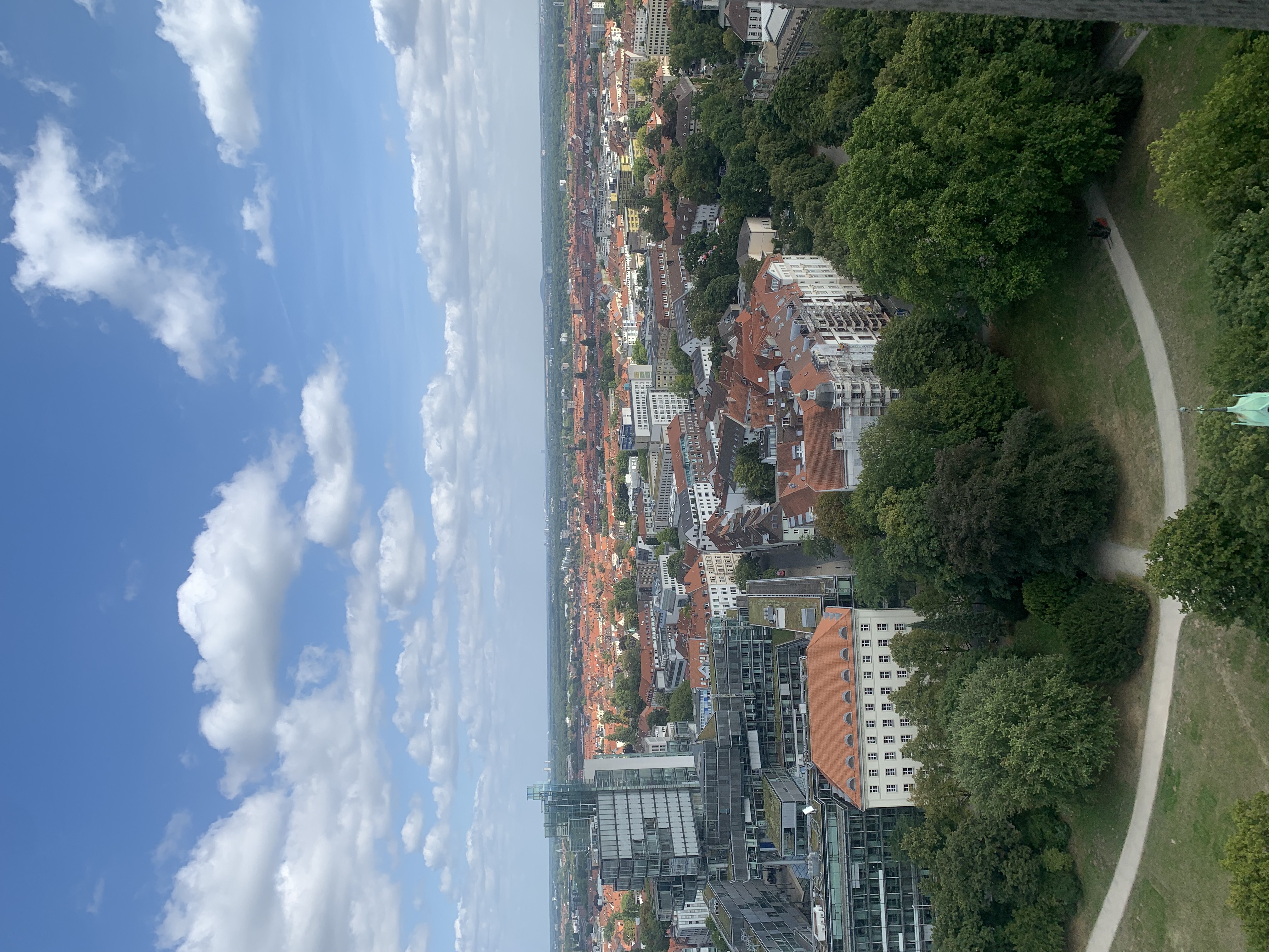 IMG_2231.jpeg