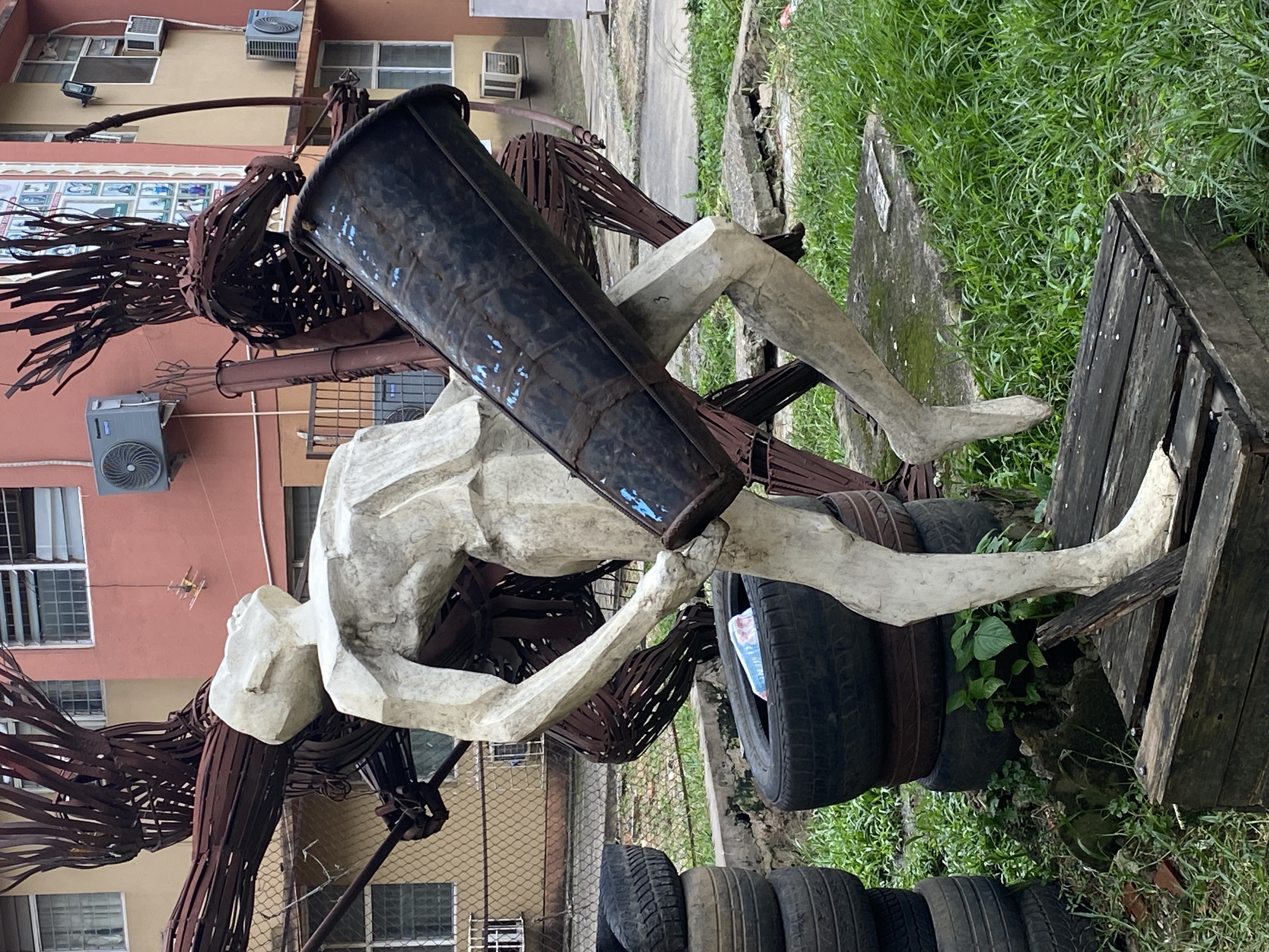 IMG_4332.jpeg