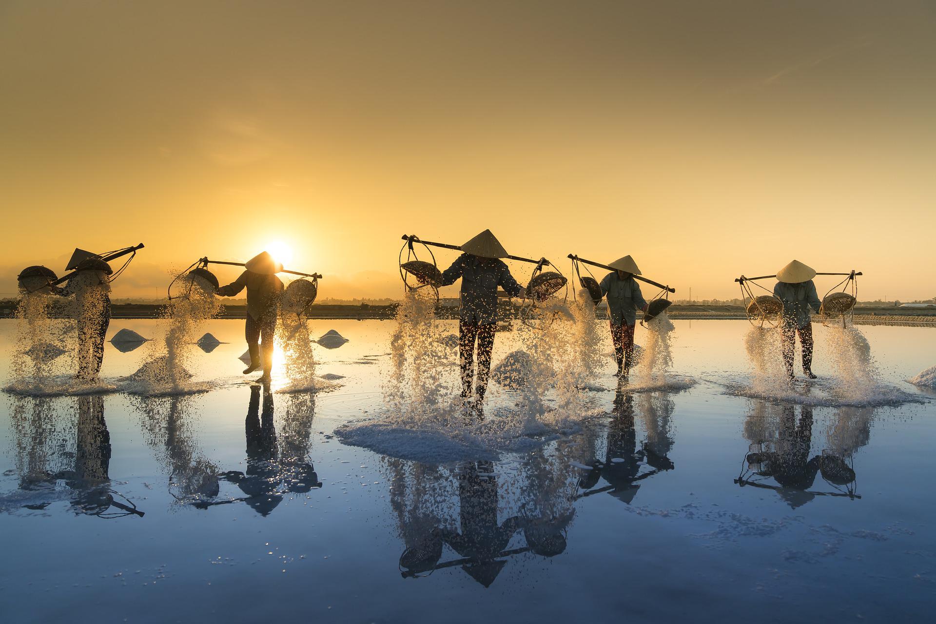 salt-harvesting-g9a88744e6_1920.jpg