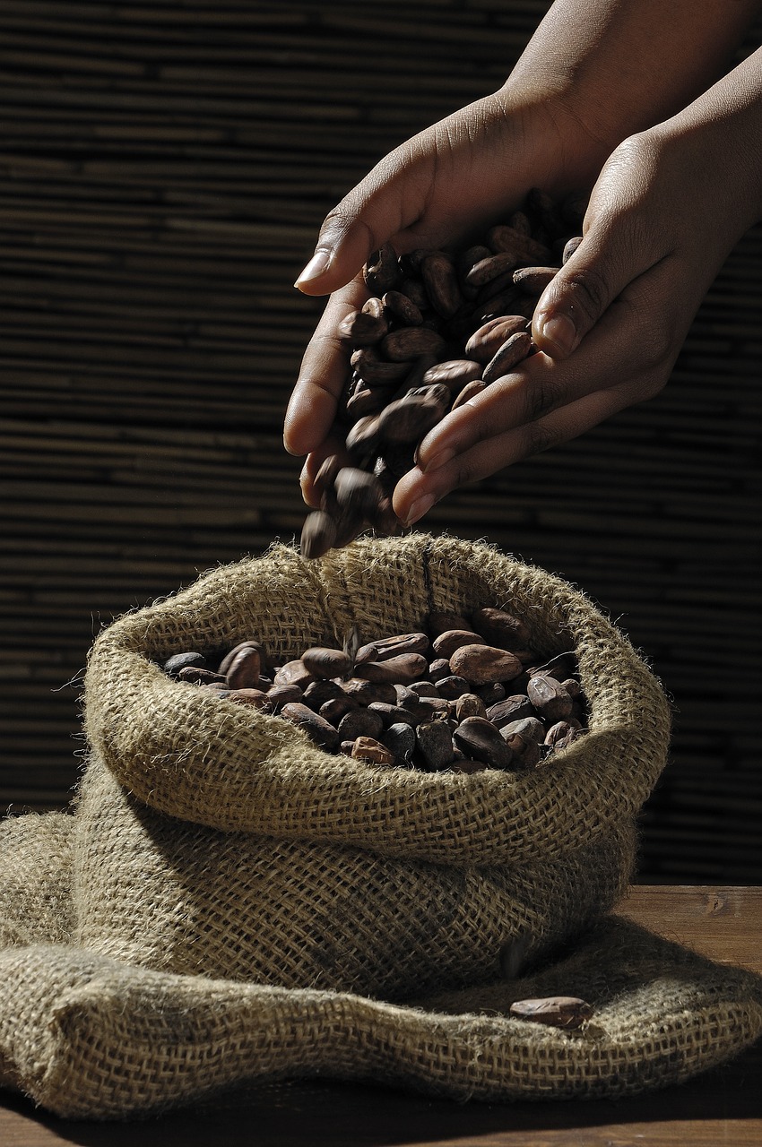cocoa-beans-499970_1280.jpg