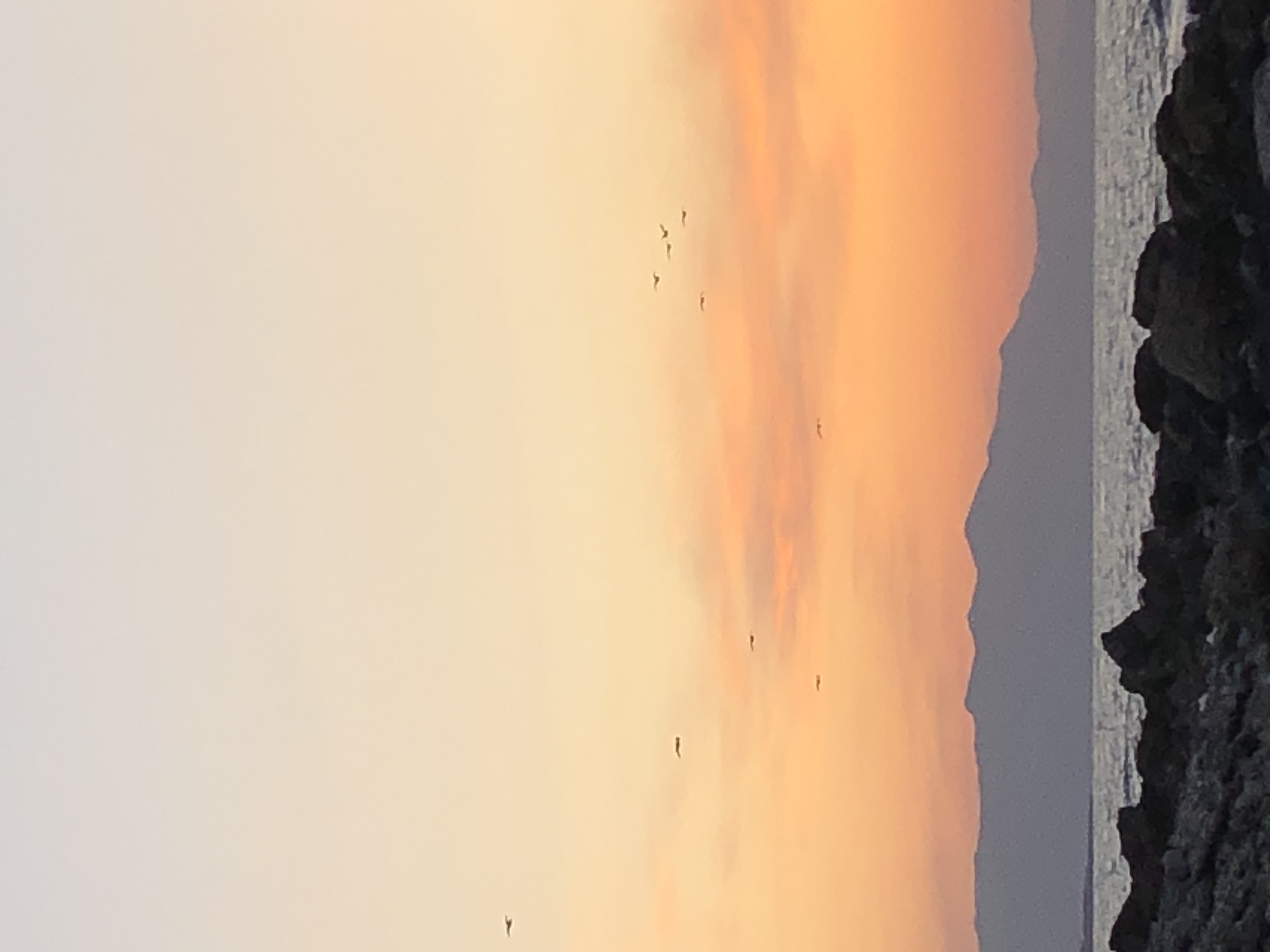 8EE134E7-3DF1-4BAF-A1C3-AD2CE5459758.jpeg