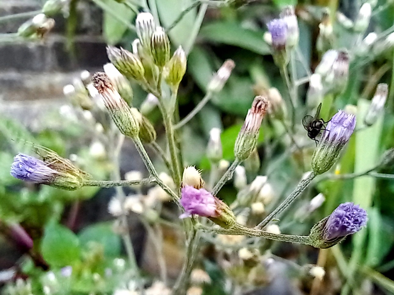 20250225_080743~2.jpg