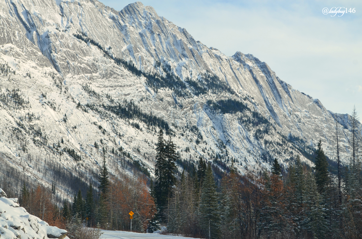 maligne (3).jpg