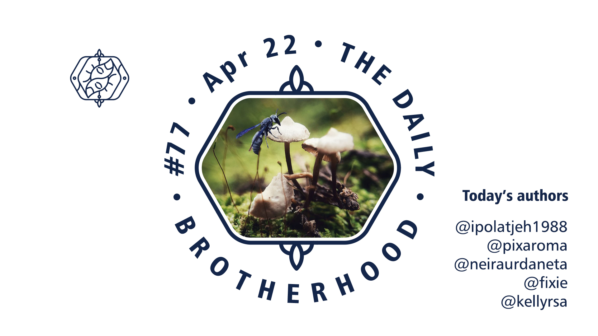 logo_brotherhood_08_77.jpg