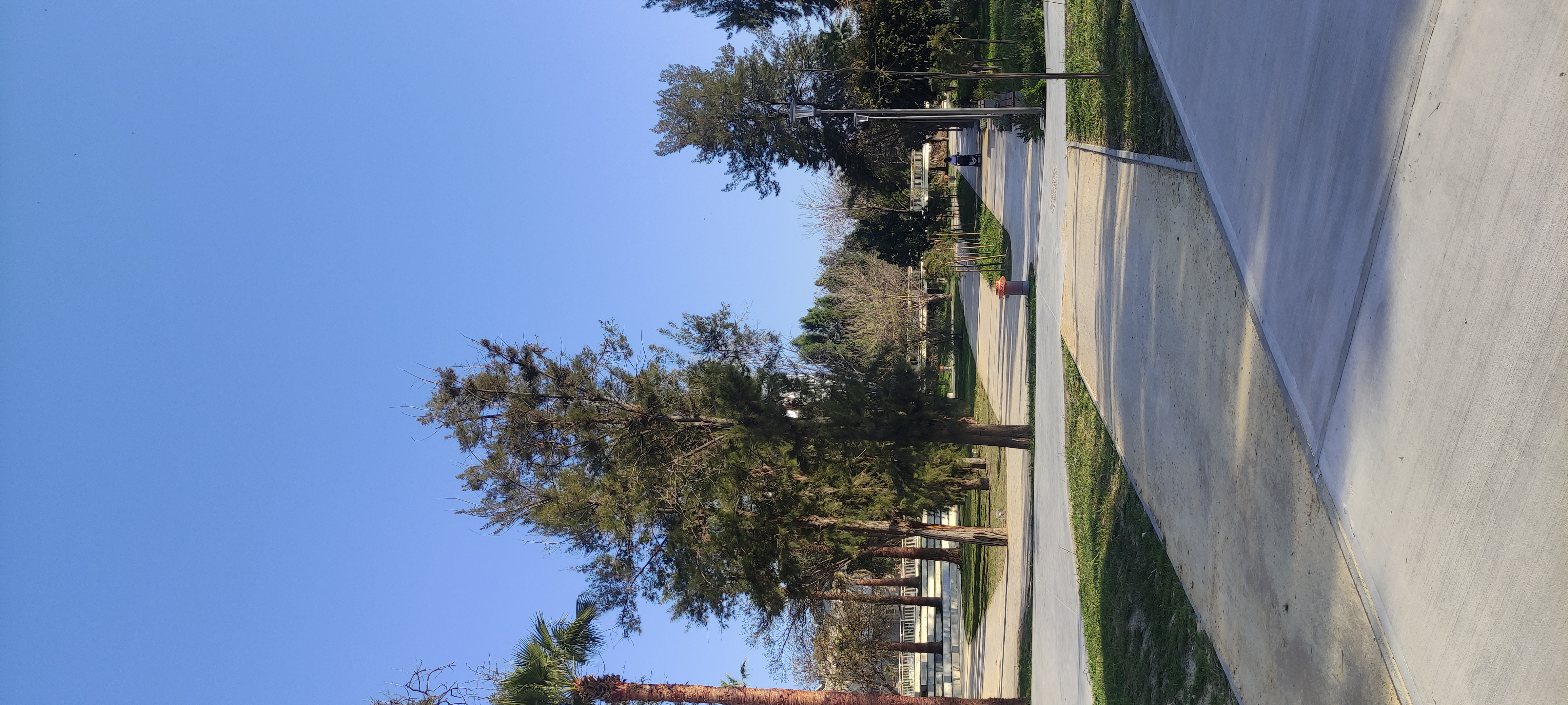 IMG_20250311_160747.jpg