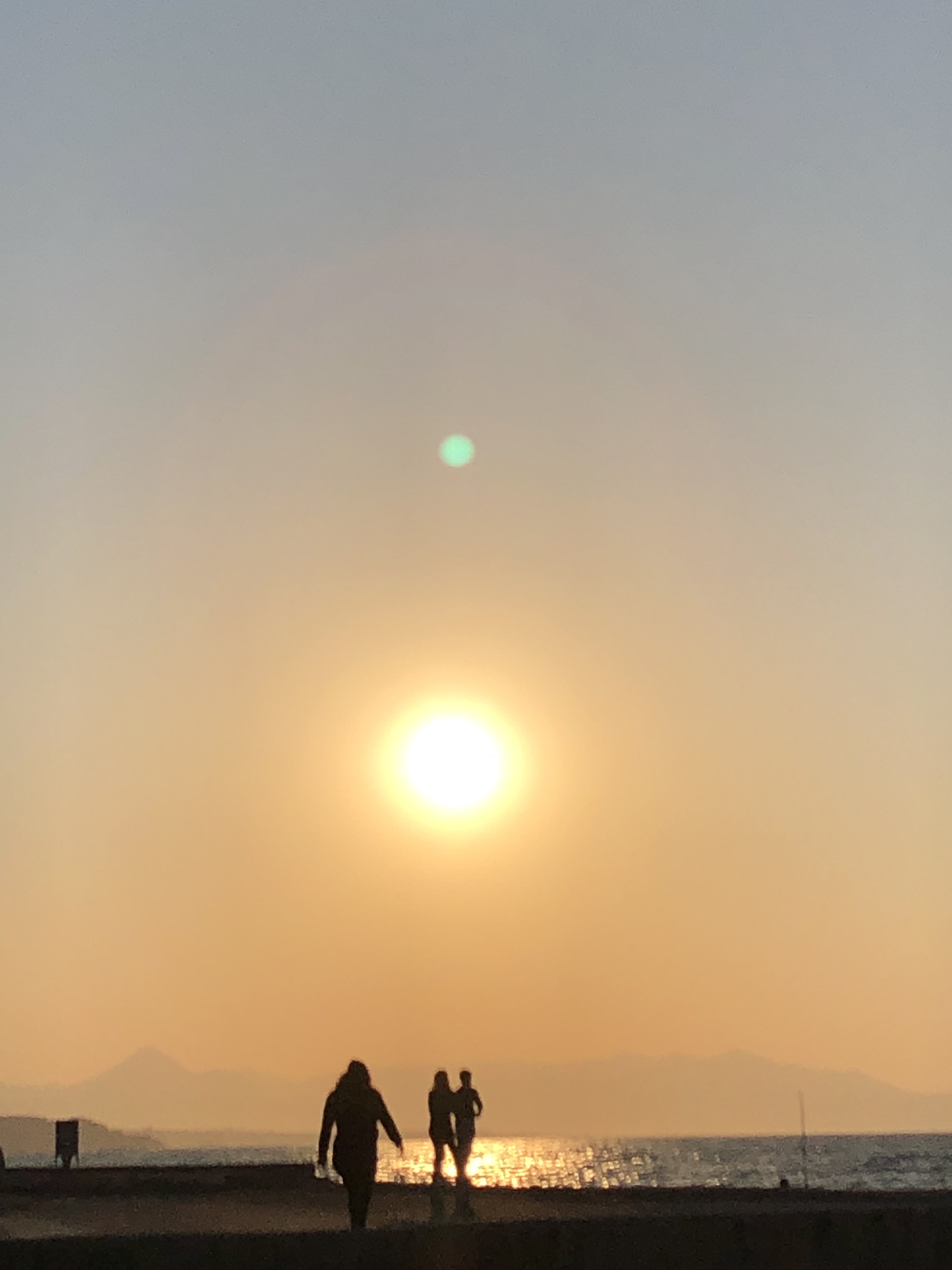 IMG_3133.jpeg